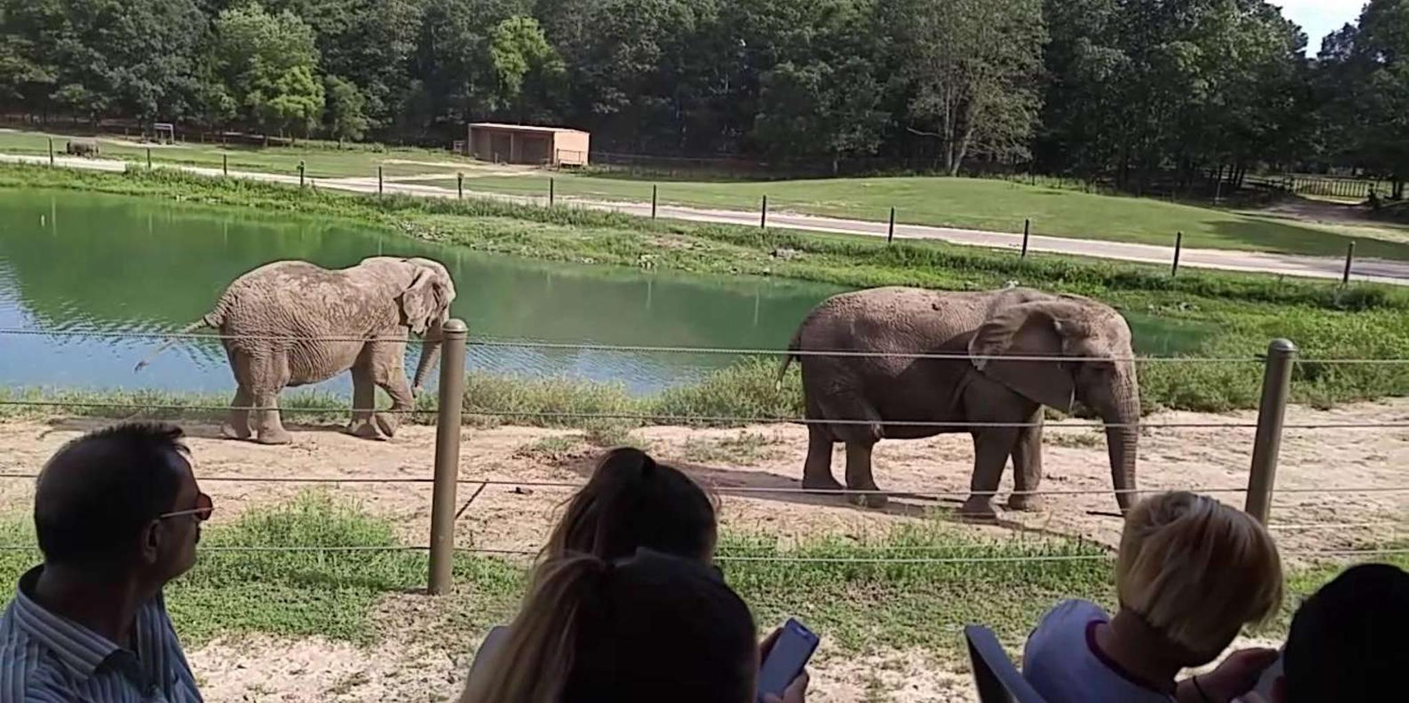 New York Six Flags Great Adventure Private Transfer - Image 5