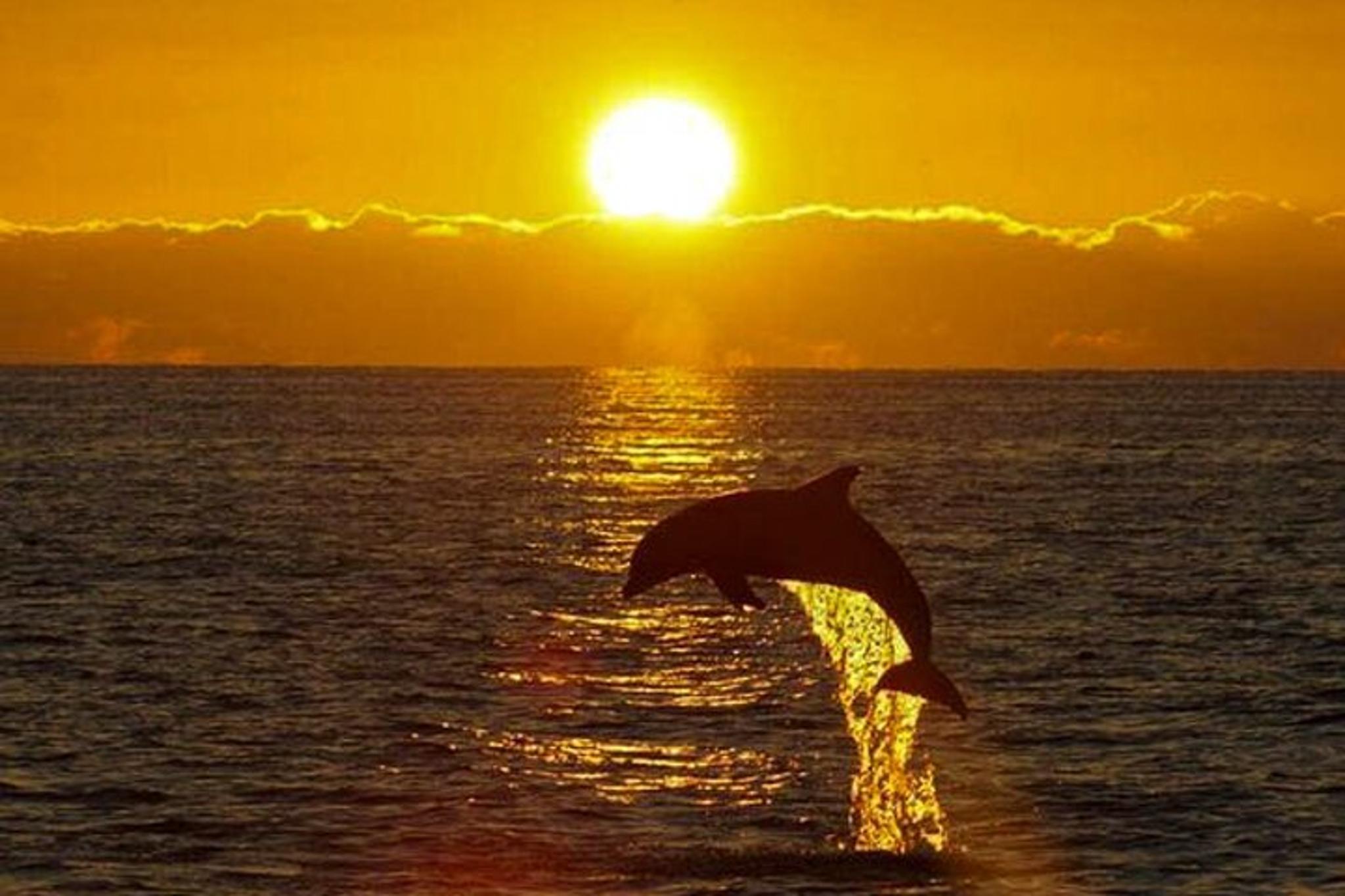 Destin and Fort Walton Beach Private Cruise