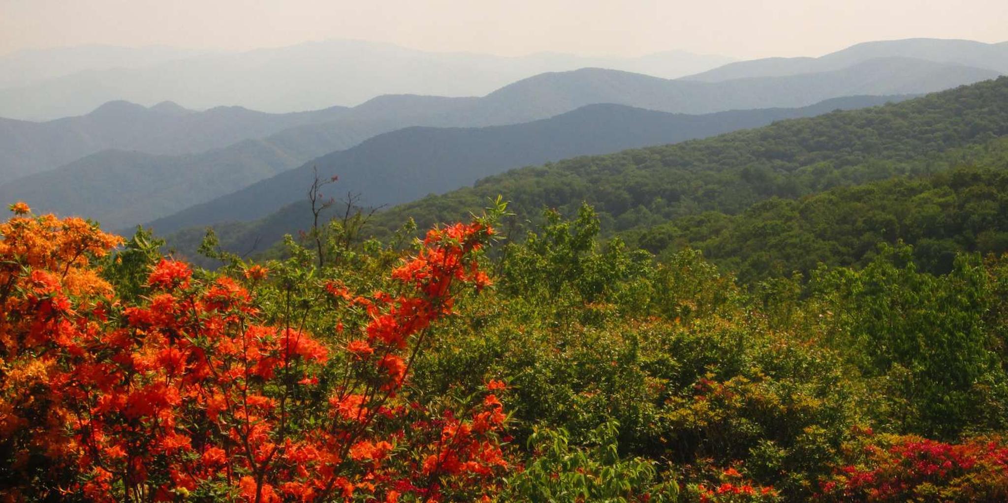 Gatlinburg Smoky Mountain Scenic Tour and Hike - Image 1