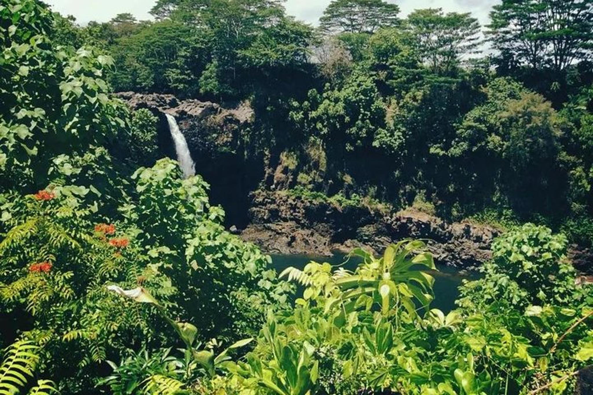 Hilo Volcanoes National Park Adventure Tour - Image 5