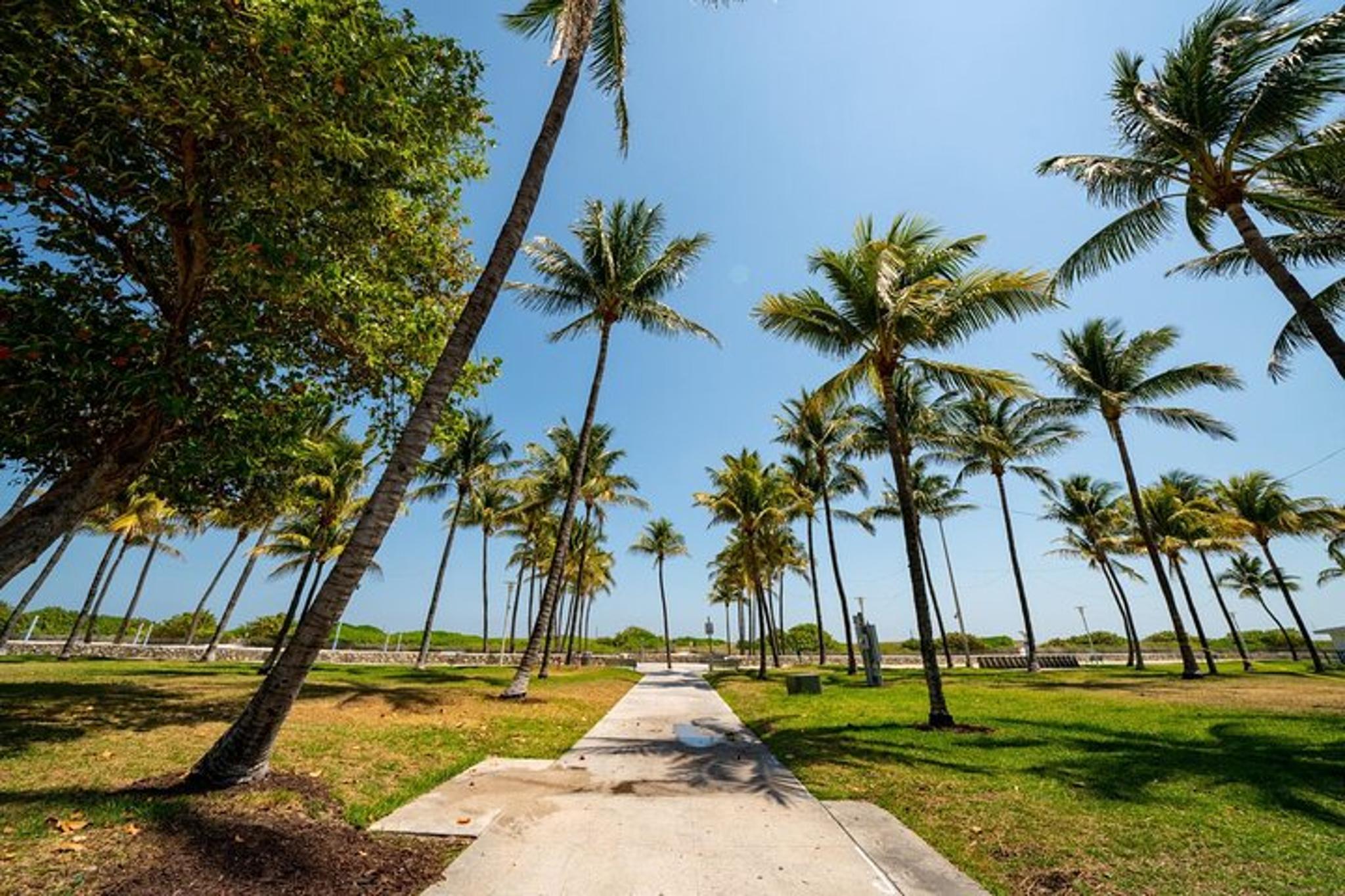 Miami Beach Private Walking Tour - Image 5