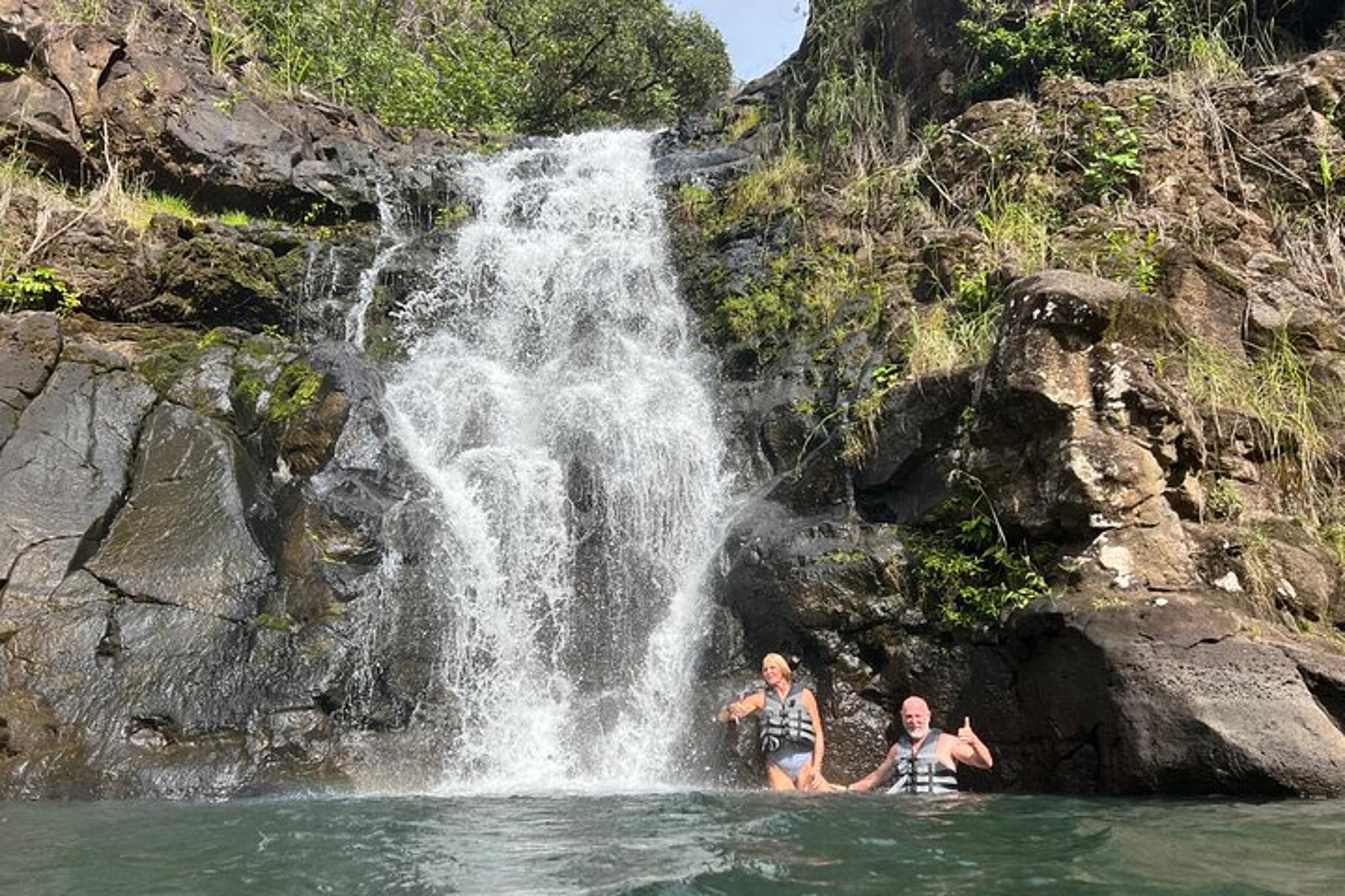 North Shore Waterfalls and Turtles Tour - Image 3