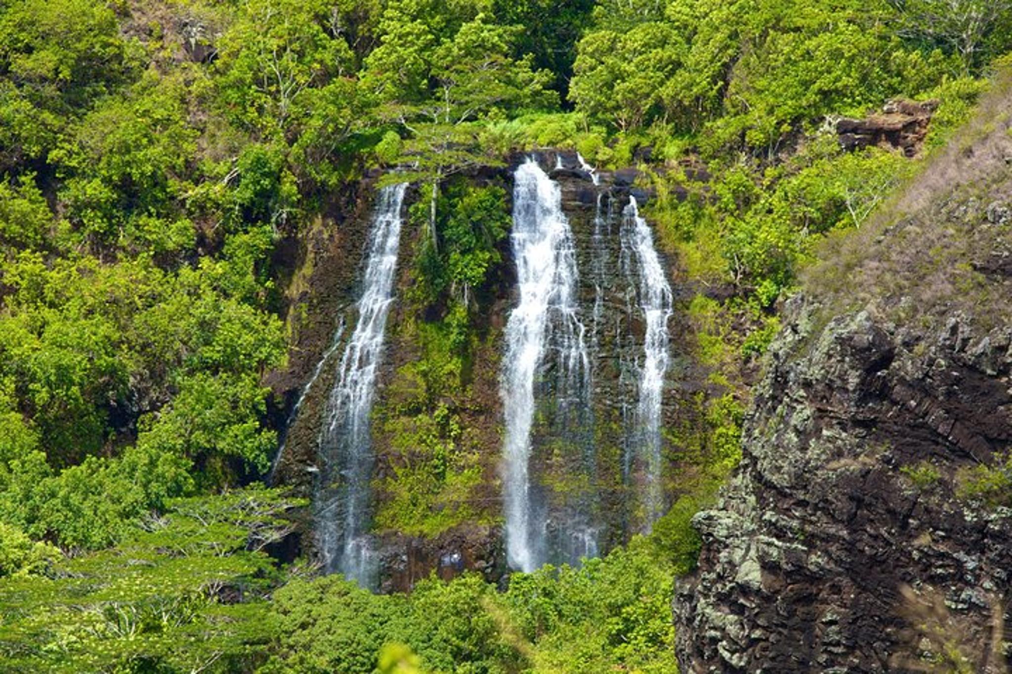 Kauai Private Tour of North & East Shores - Image 4