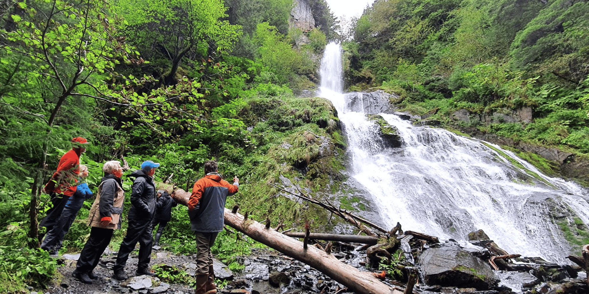 Seward Kayak Tour to Bridal Veil Falls 5 hr - Image 3