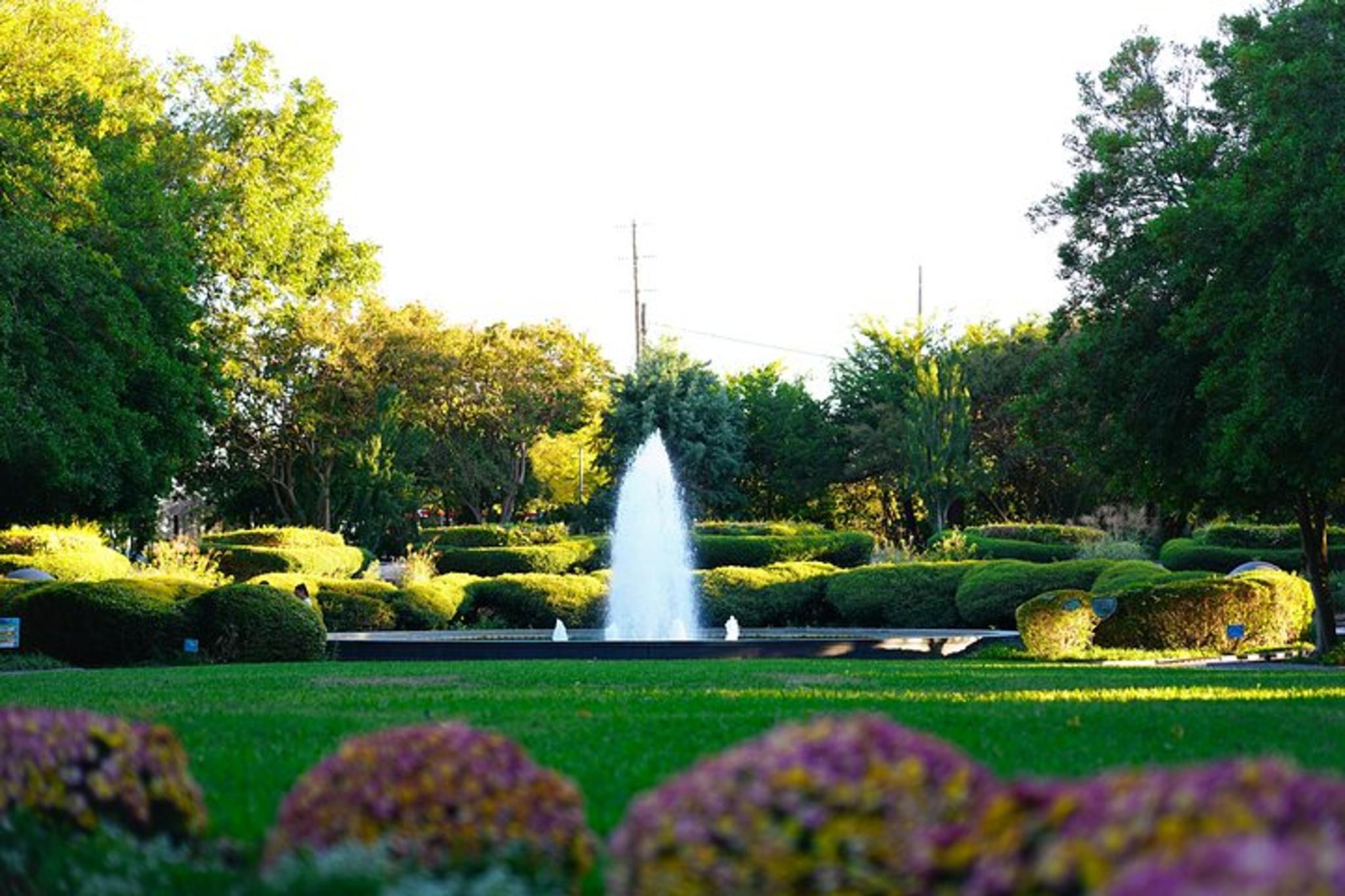 Dallas Discovery Gardens Admission - Image 2