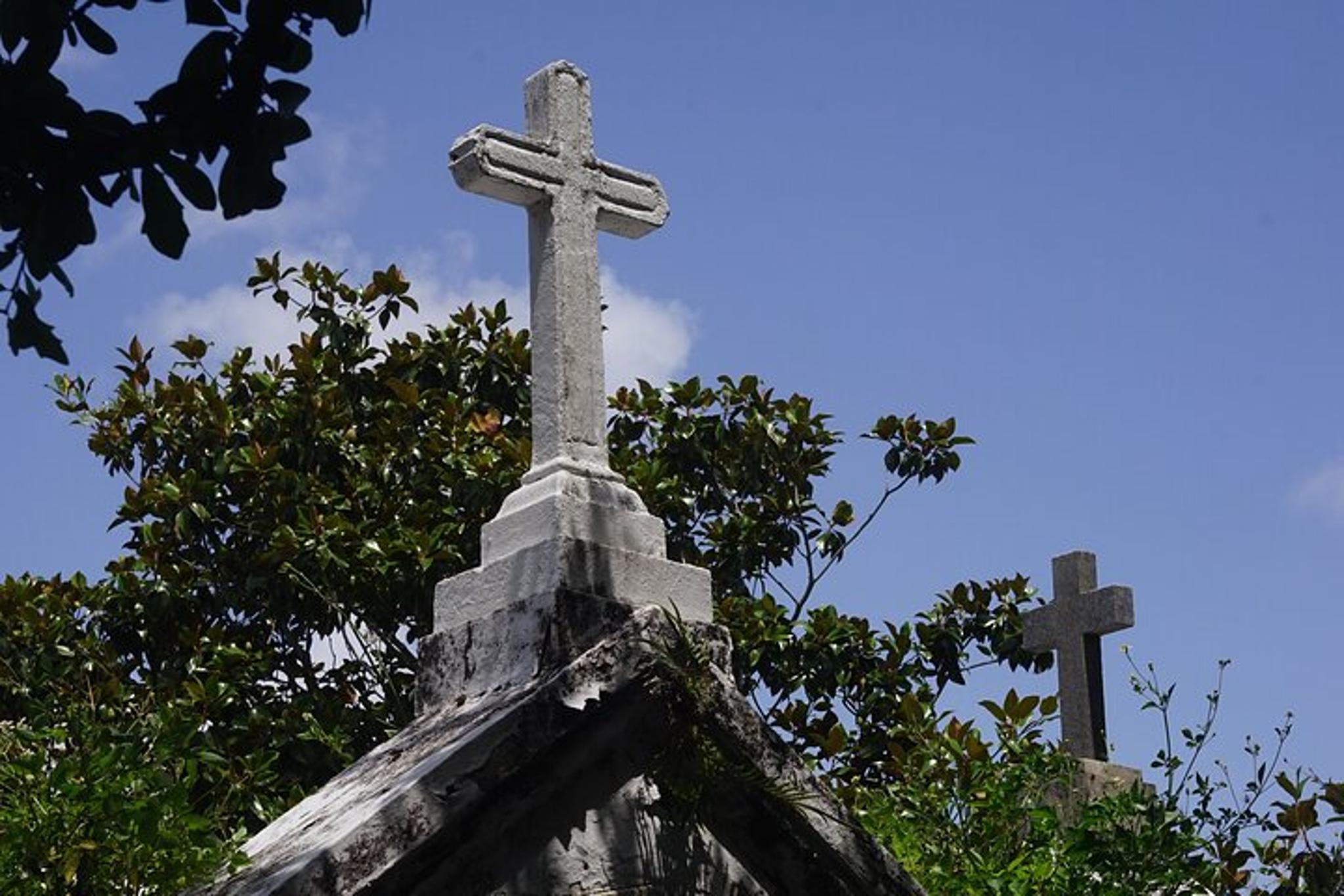 New Orleans Garden District History and Architecture Tour - Image 4