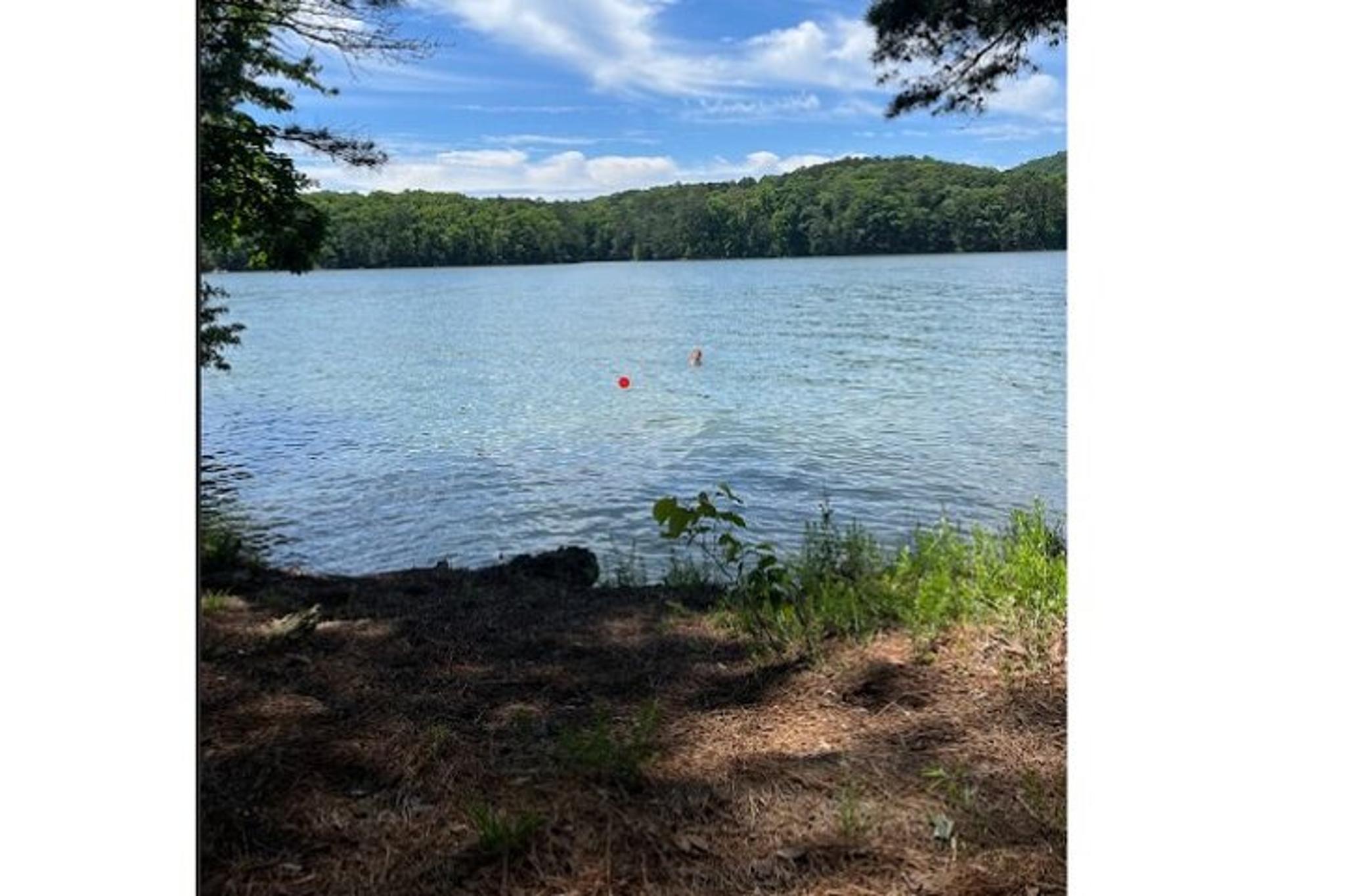 North Georgia Hiking Adventure - Image 4