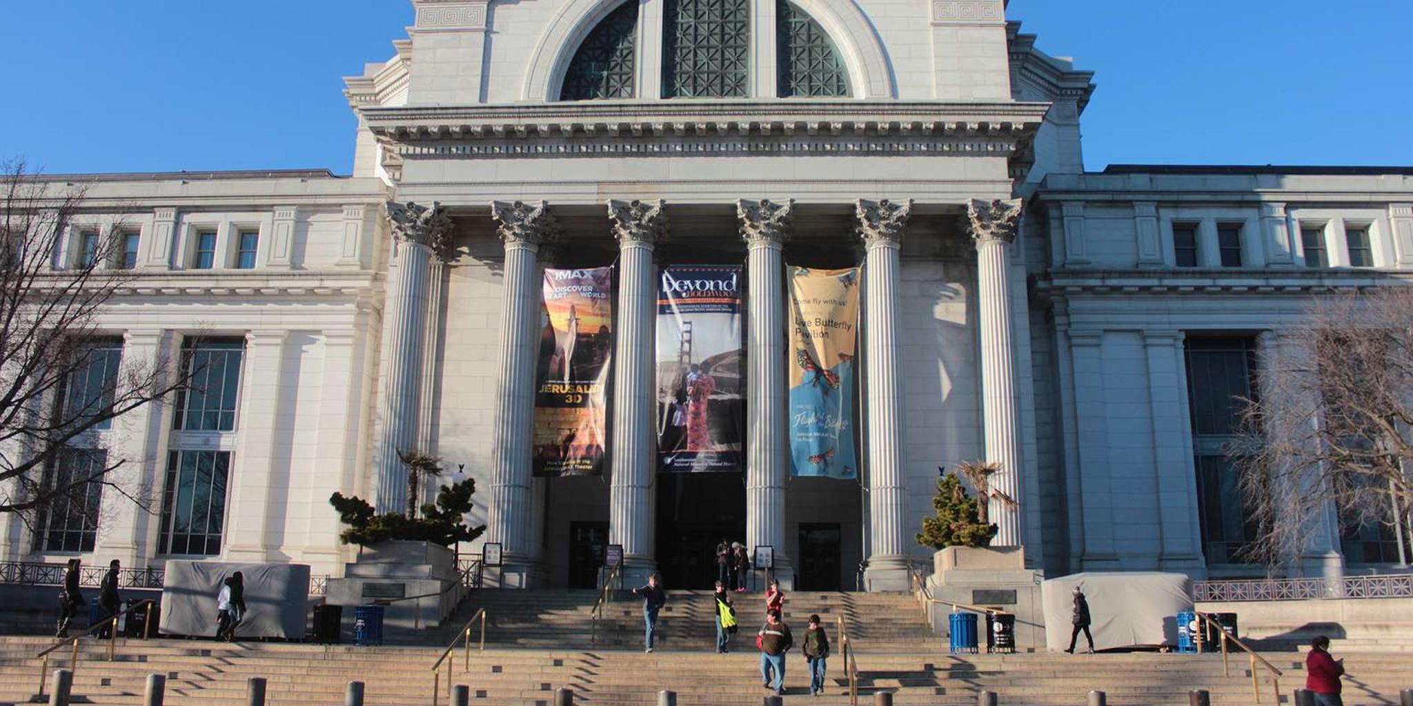 Washington DC Smithsonian Museum Tour 5.5 hr - Image 6