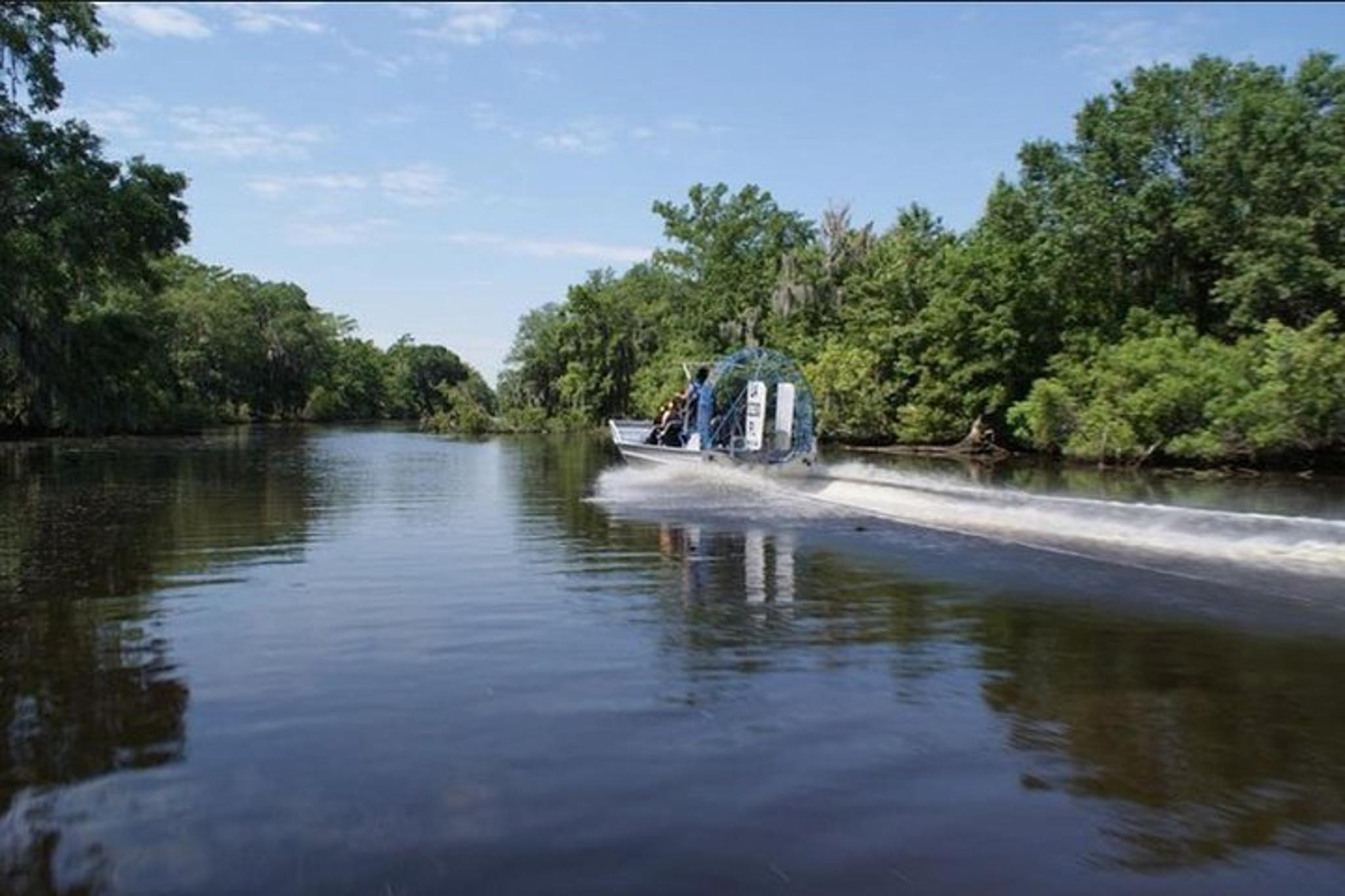 New Orleans Airboat Swamp and City Tour Combo - Image 6