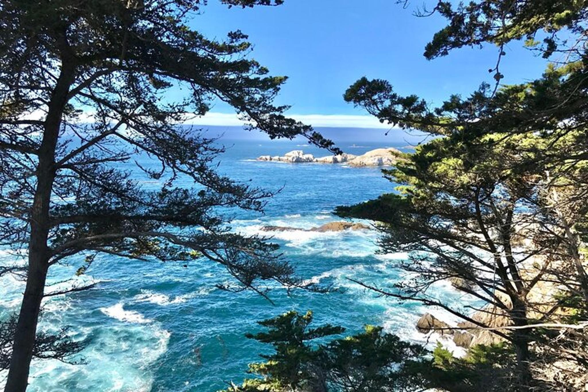 San Francisco 5-Day Tour with Unique Experiences - Image 3