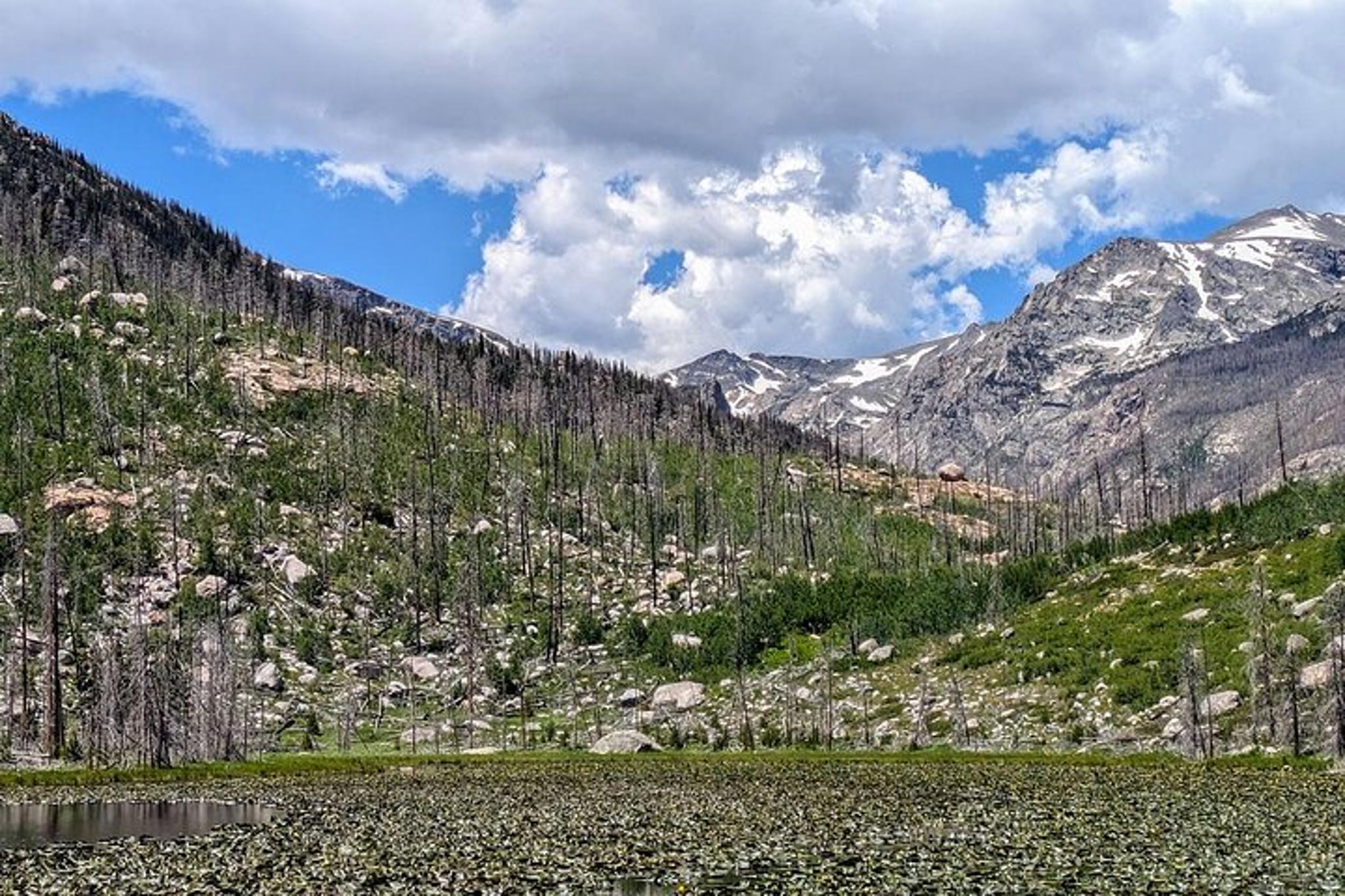 Rocky Mountain National Park Private Hiking Tour - Image 2