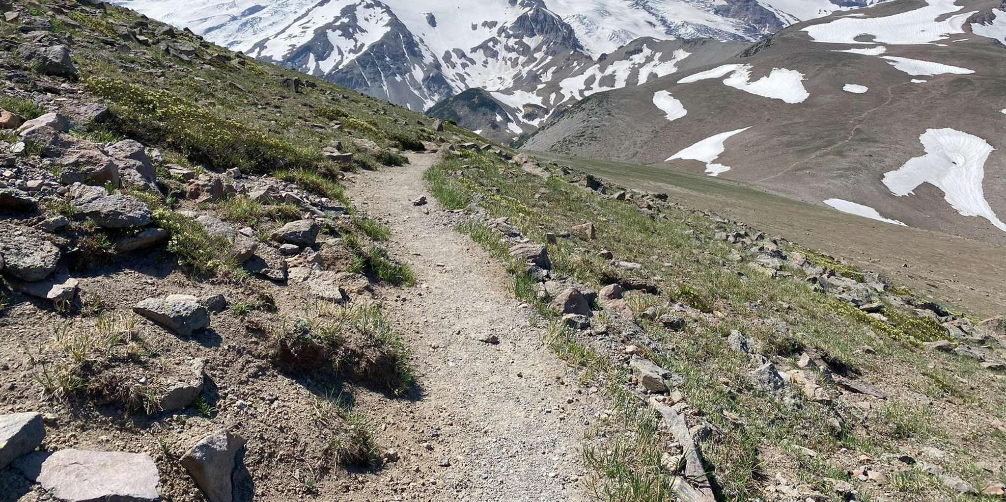 Mount Rainier Day Hike on Three Burroughs Trail - Image 3