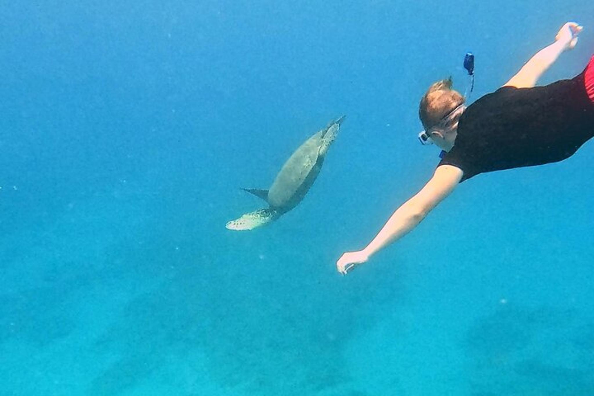 Kona Snorkeling Adventure Open Charter - Image 2