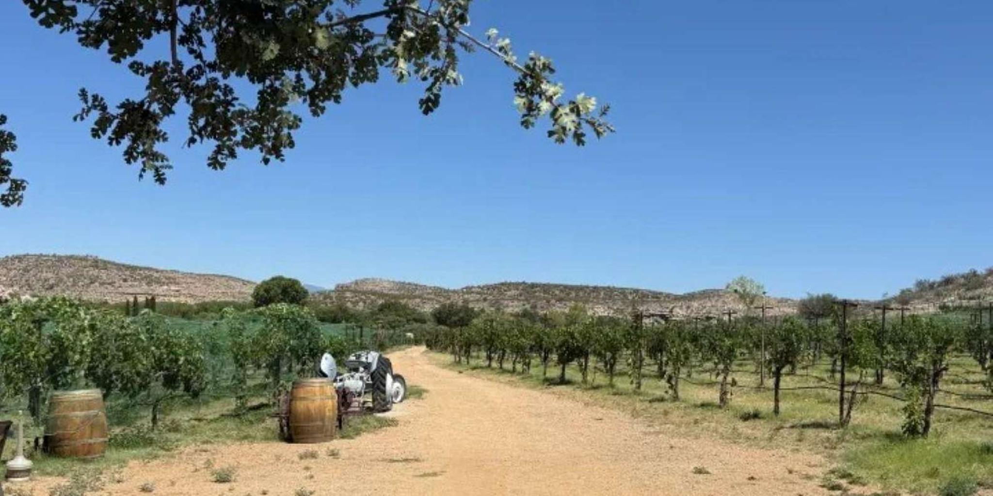 Sedona Wine, Beer & Beyond Tasting Tour 5 hr - Image 1