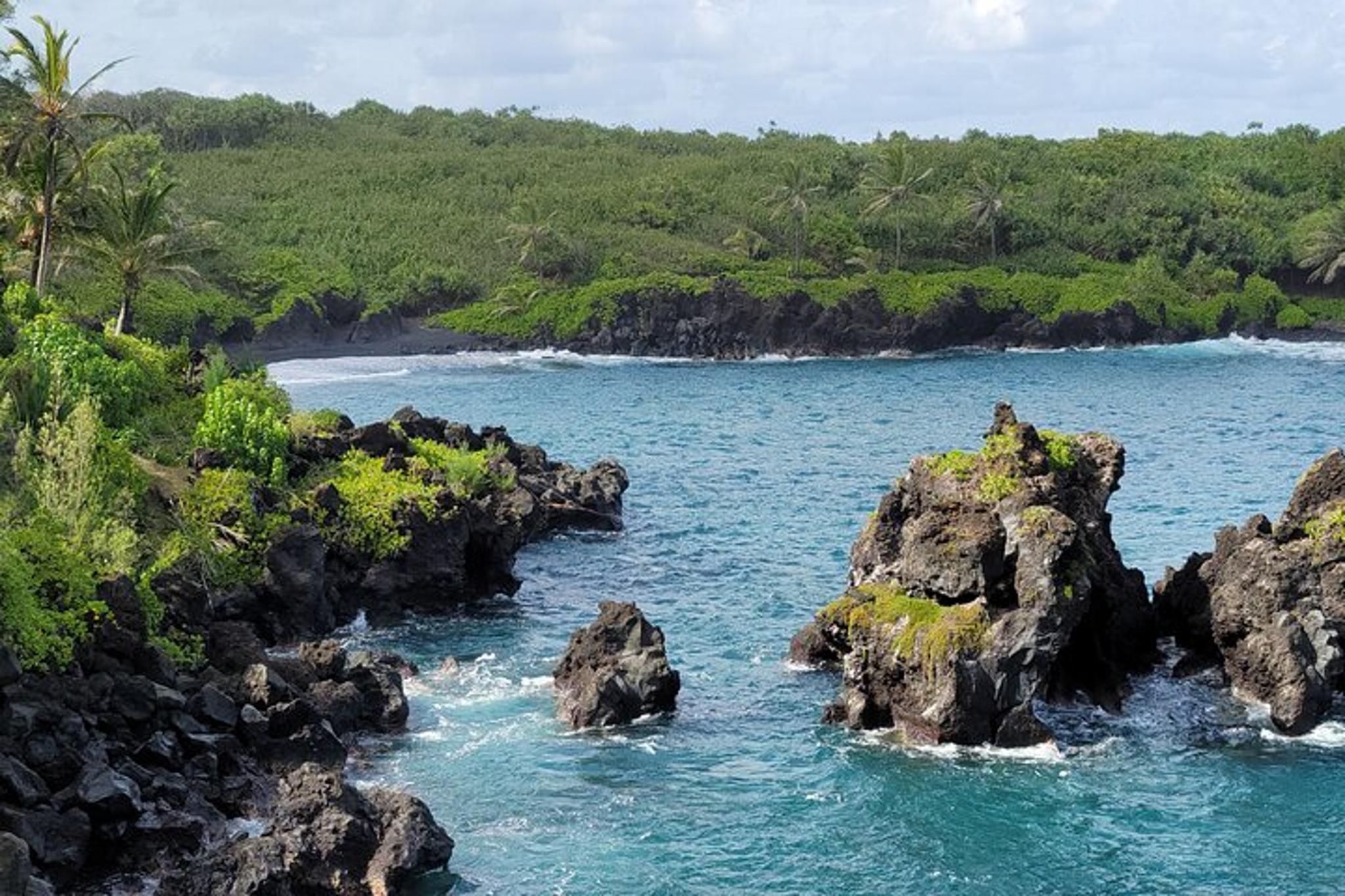 Maui Road to Hana Private Tour - Image 5