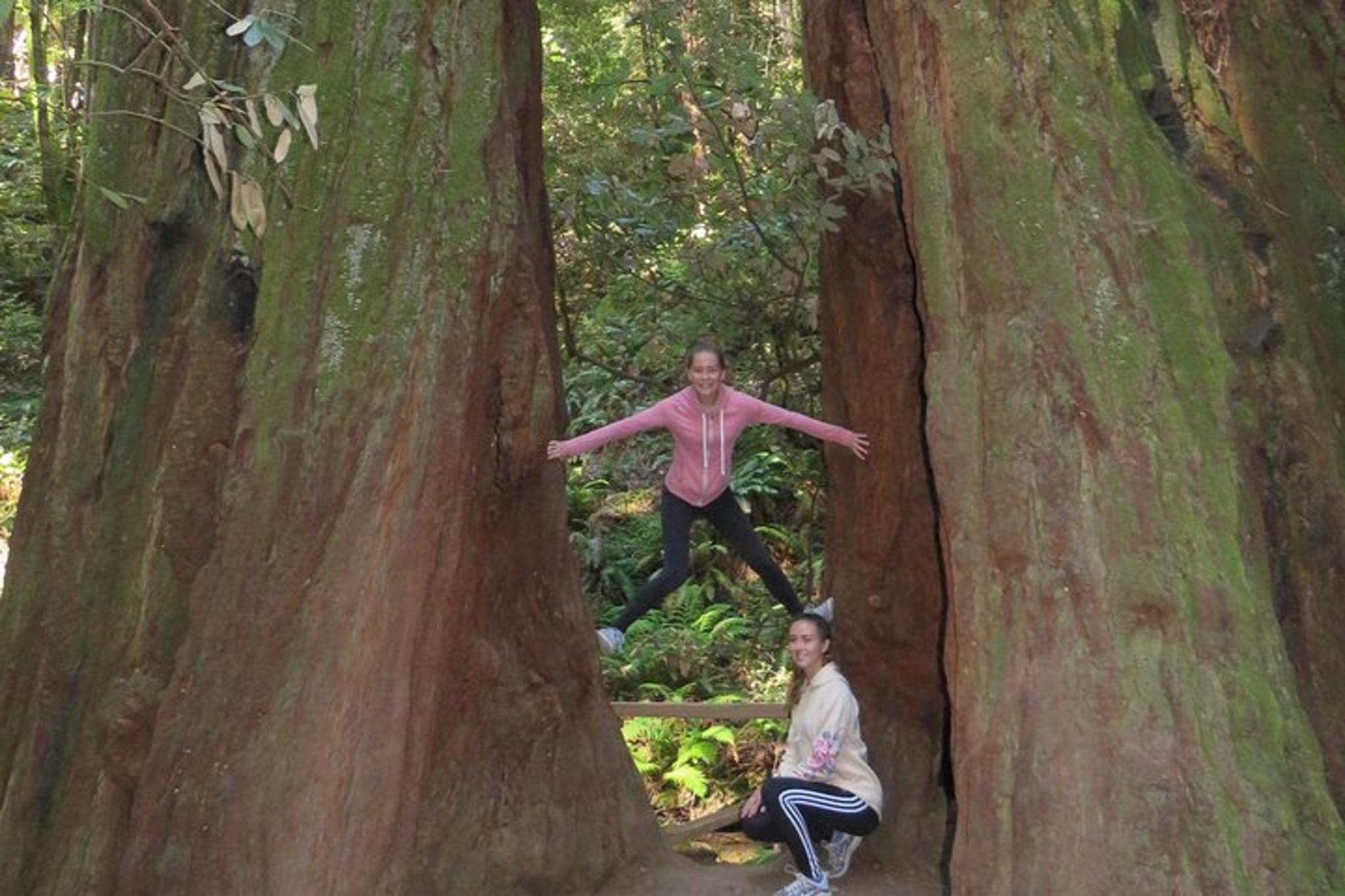 San Francisco Point Reyes and Muir Woods Tour - Image 5