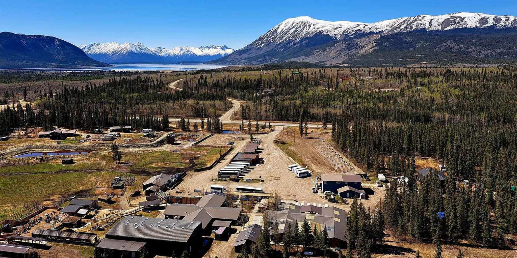 Skagway Yukon Adventure with Suspension Bridge and Puppies