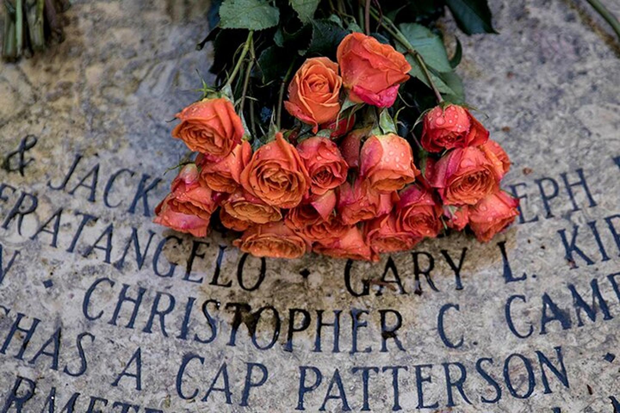 San Francisco Golden Gate Park Self-Guided Tour - Image 6