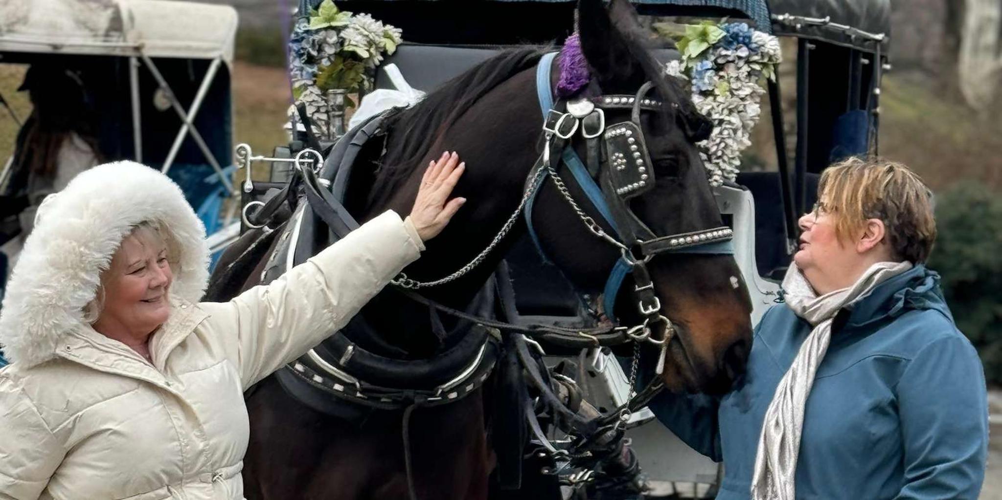 New York City Central Park Horse Carriage Ride - Image 2