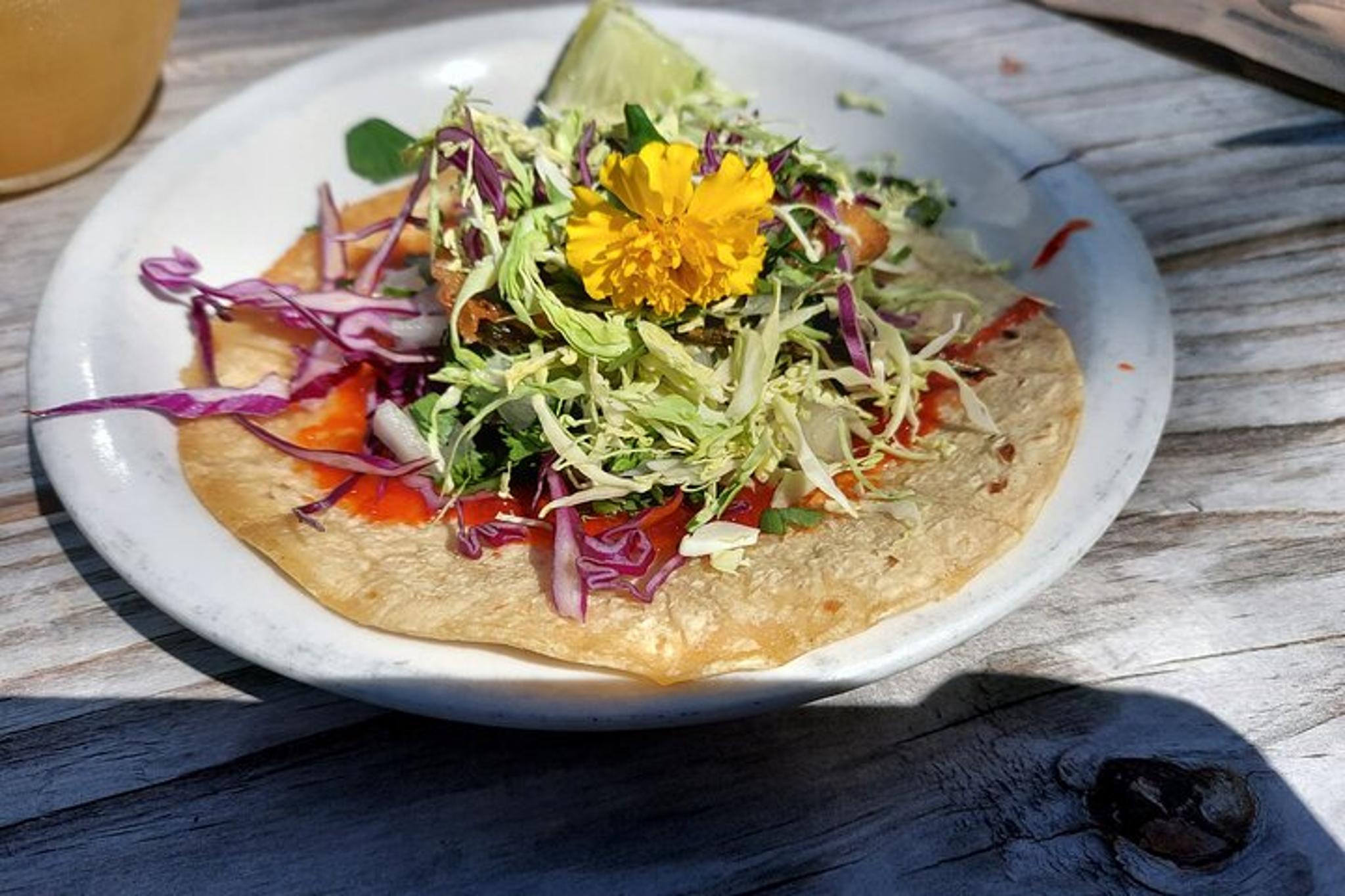 Jacksonville Culinary Tour in Riverside and 5 Points