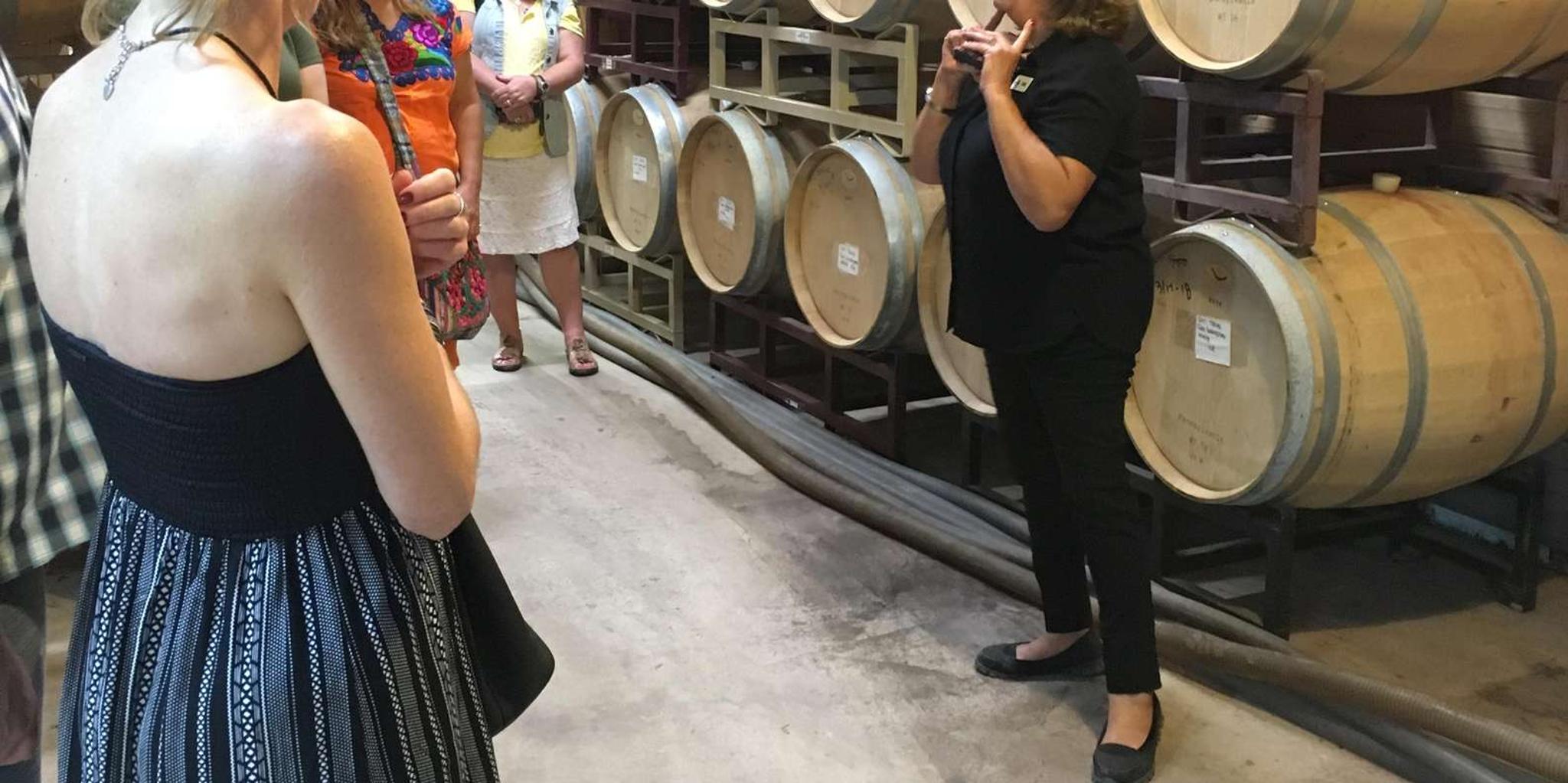 San Antonio Fredericksburg Wine Tour