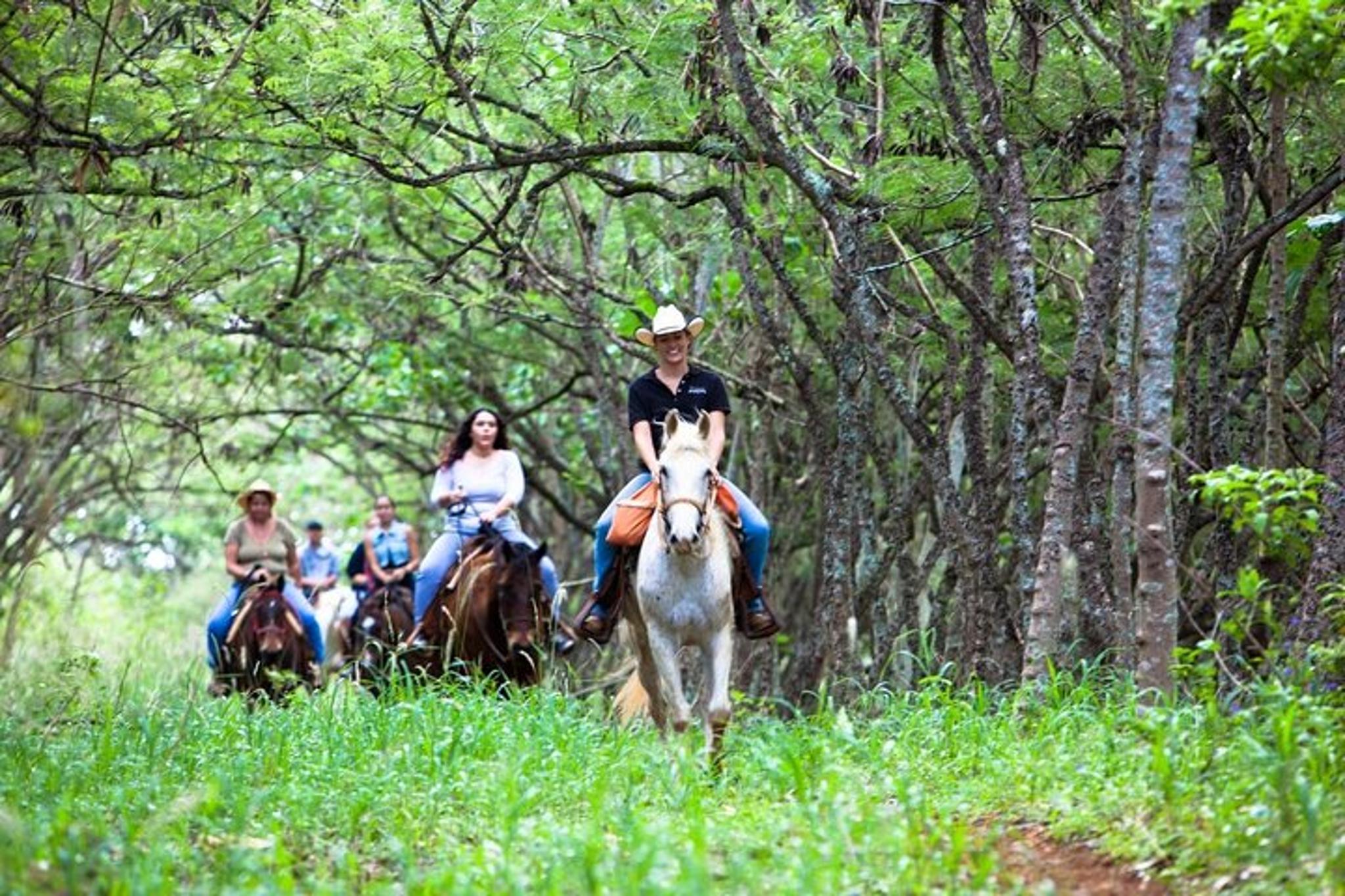 Oahu Sunset Horseback Ride - Image 6