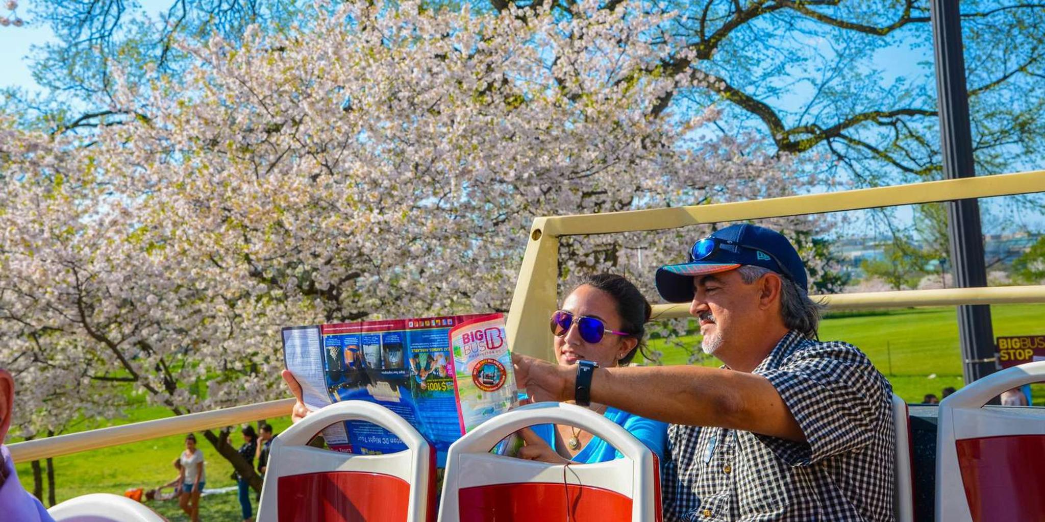 Washington DC Hop-on Hop-off Sightseeing Tour - Image 5