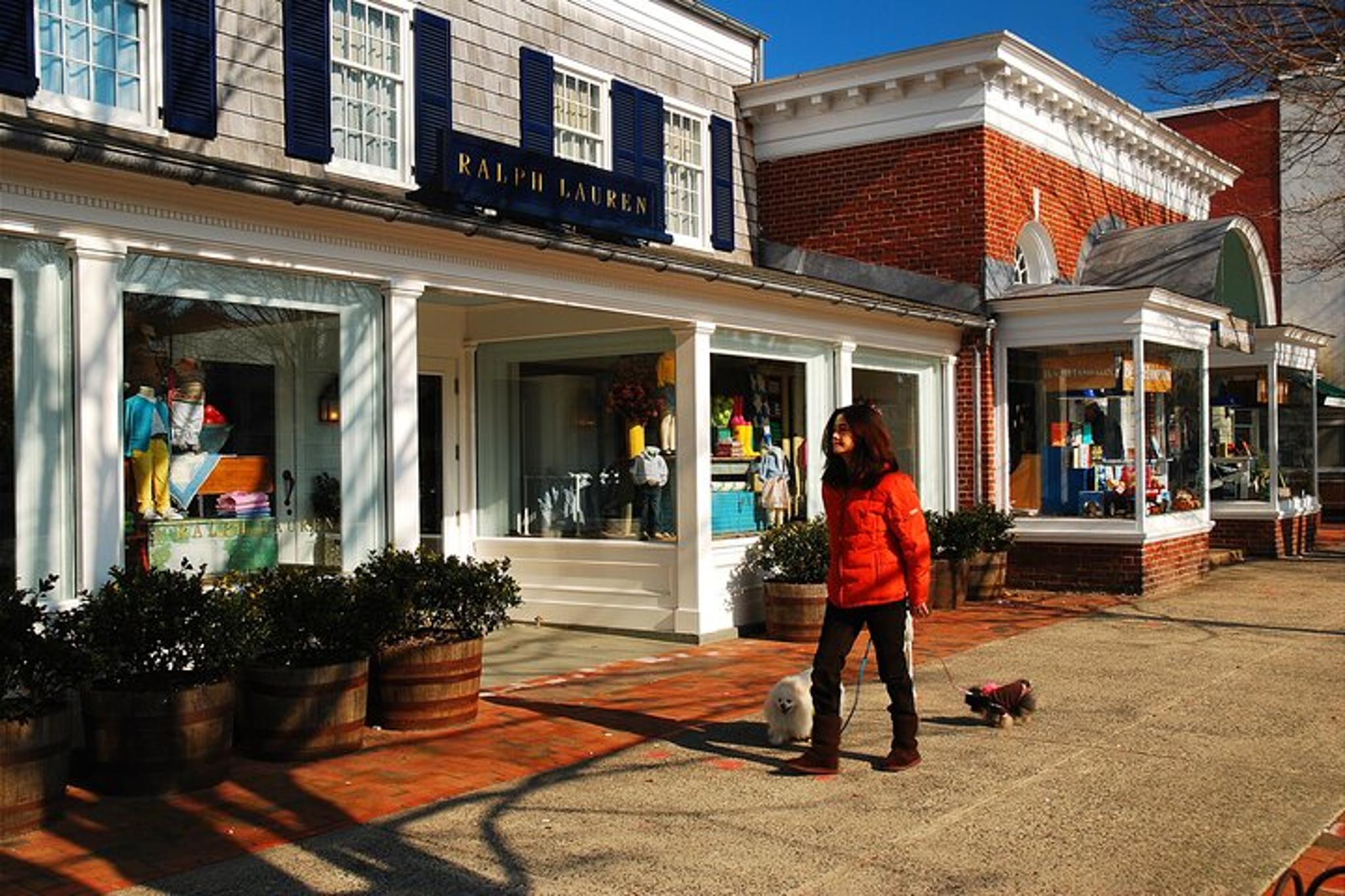 Hamptons and Long Island Wineries Private Tour - Image 6