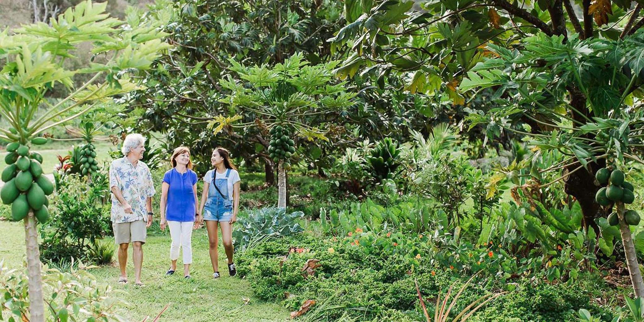 Kauai McBryde Garden Self-Guided Visit 2.5 hr - Image 2