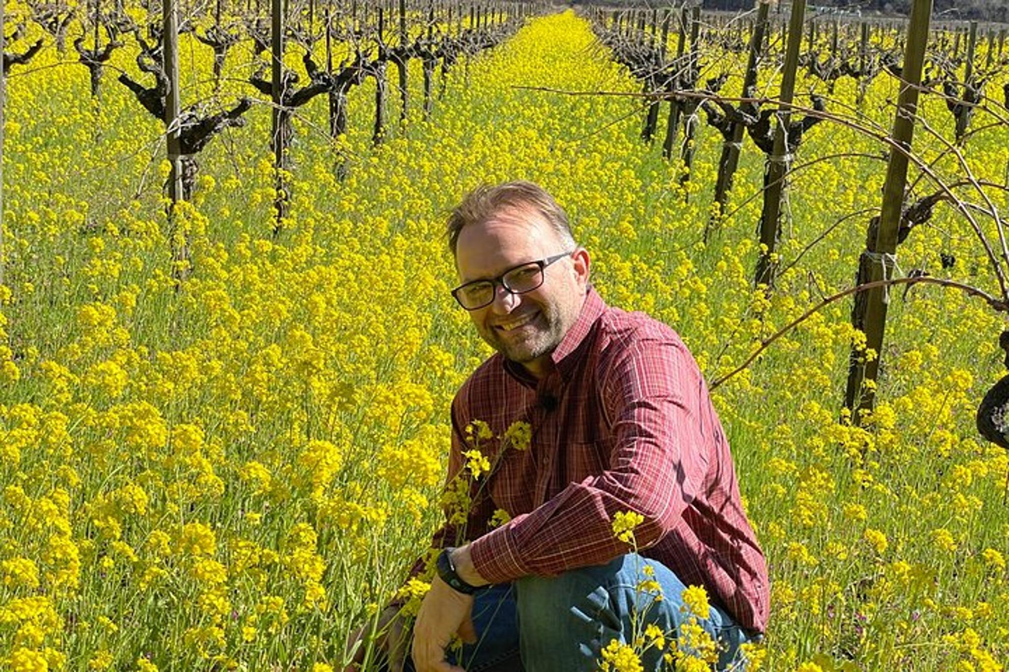 Napa Valley Wine Tour - Image 4