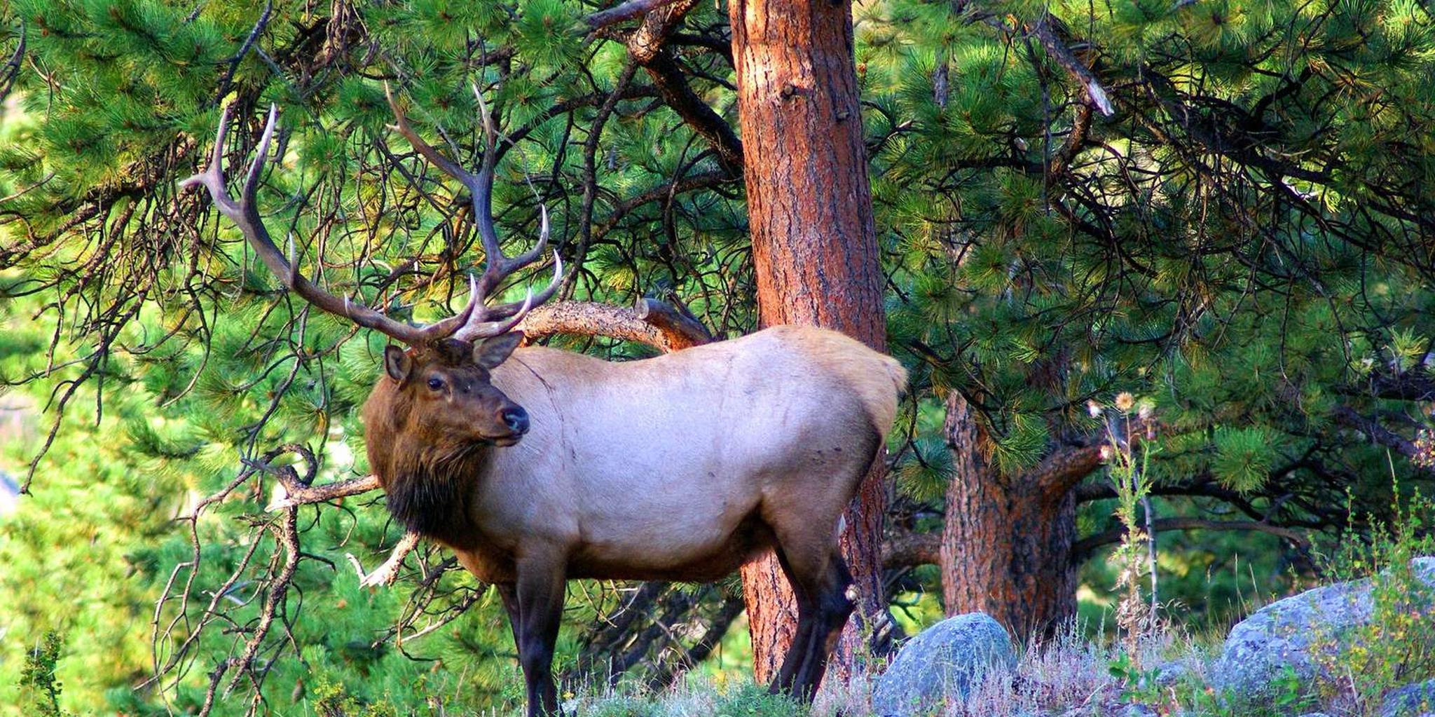 Denver Hiking Tour in the Rocky Mountains