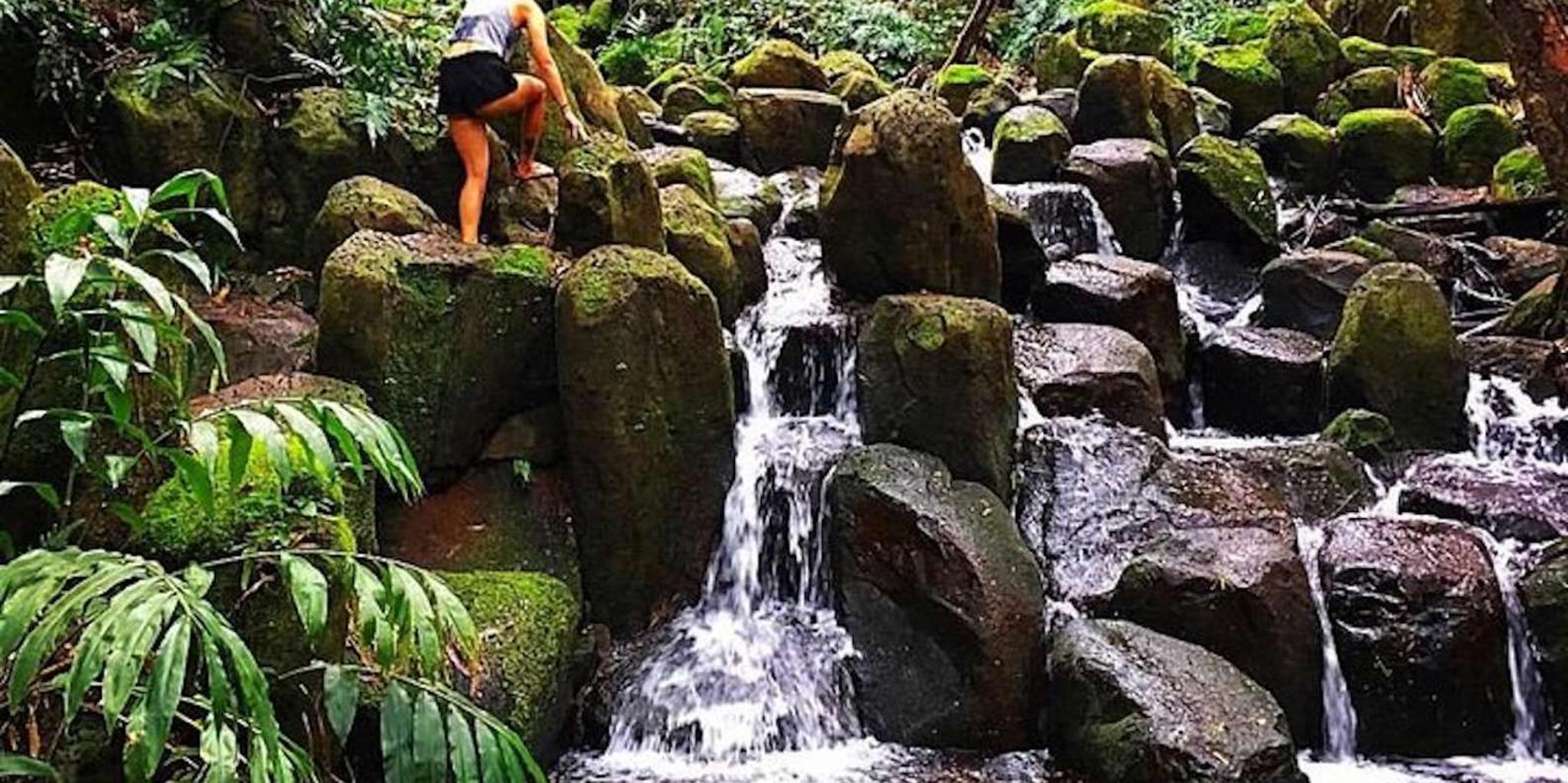 Kauai Wailua River Kayak Adventure with Waterfalls - Image 4