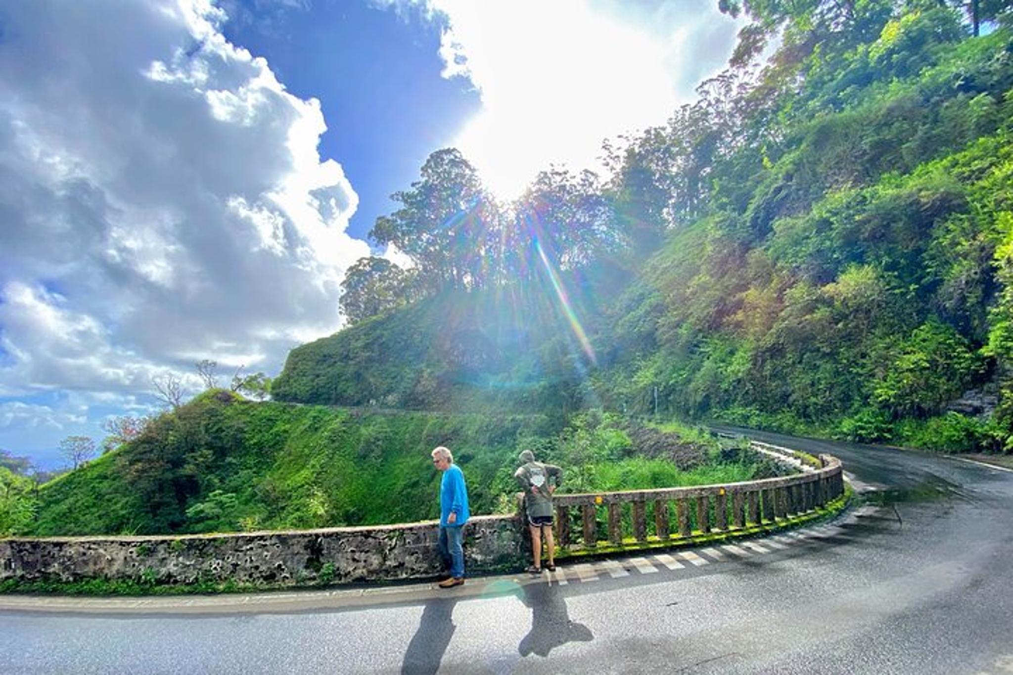 Maui Private Tour - Image 4