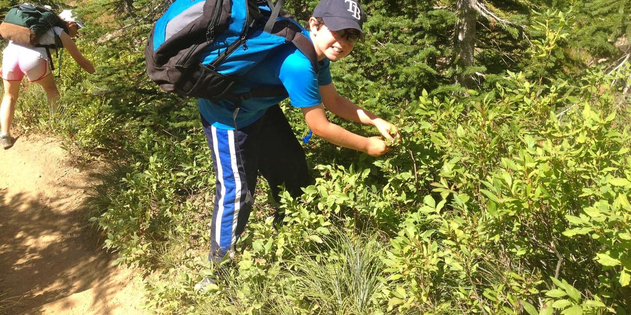 Glacier National Park Nature Walk - Image 4