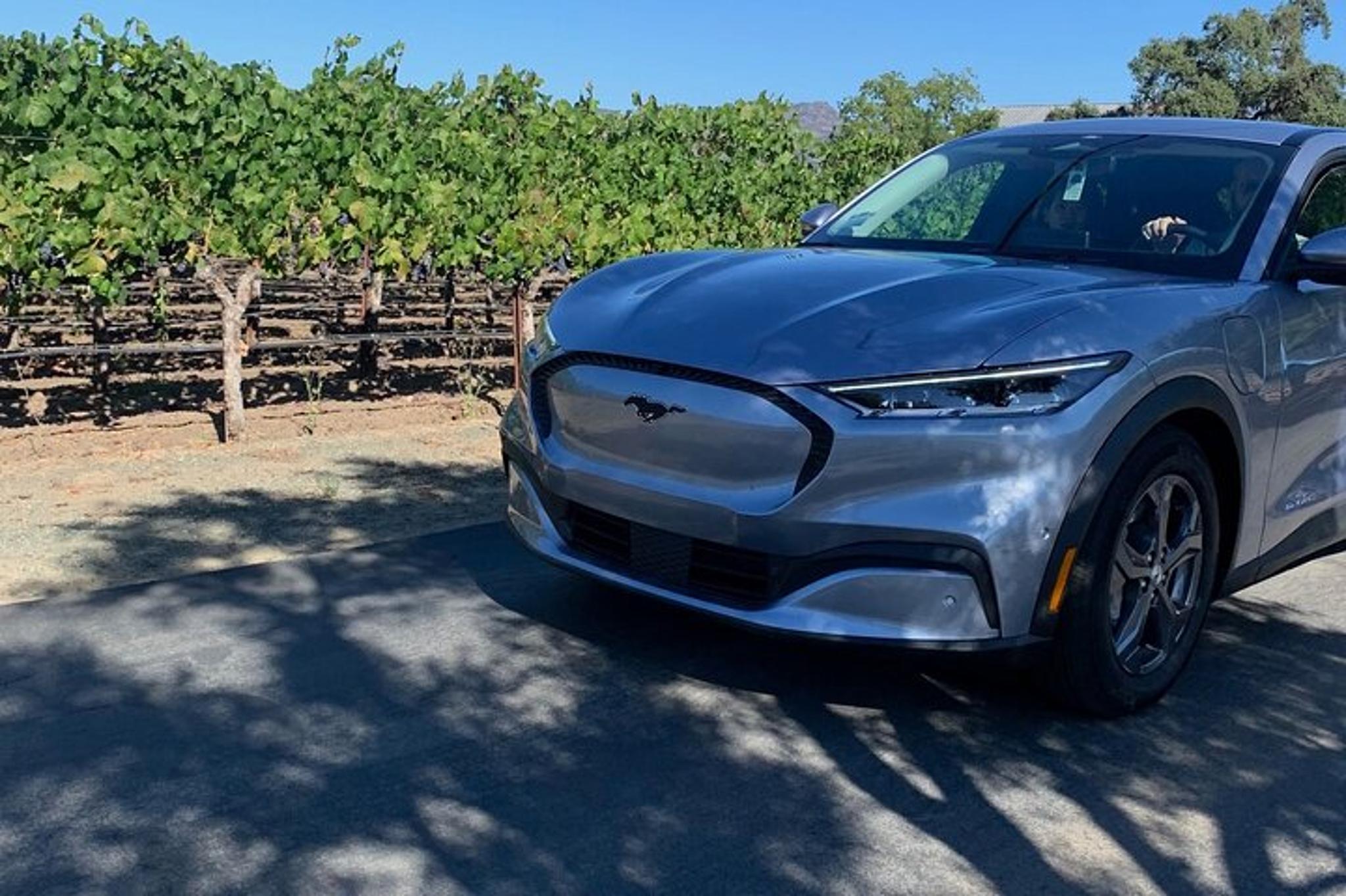 Berkeley to Oakland Airport Private Transfer - Image 4