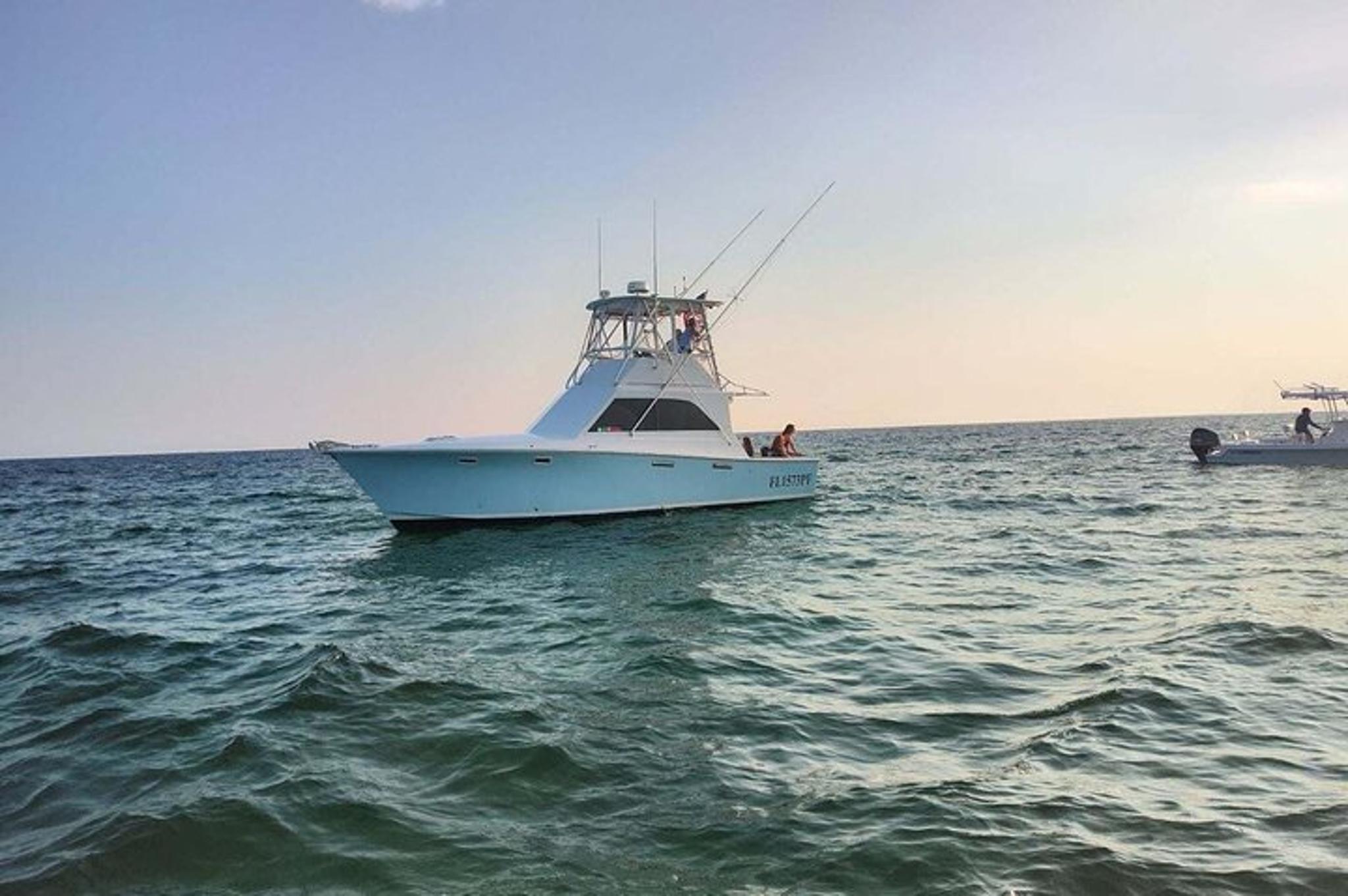 Panama City Beach Dolphin Sightseeing Tour 2 hr - Image 6