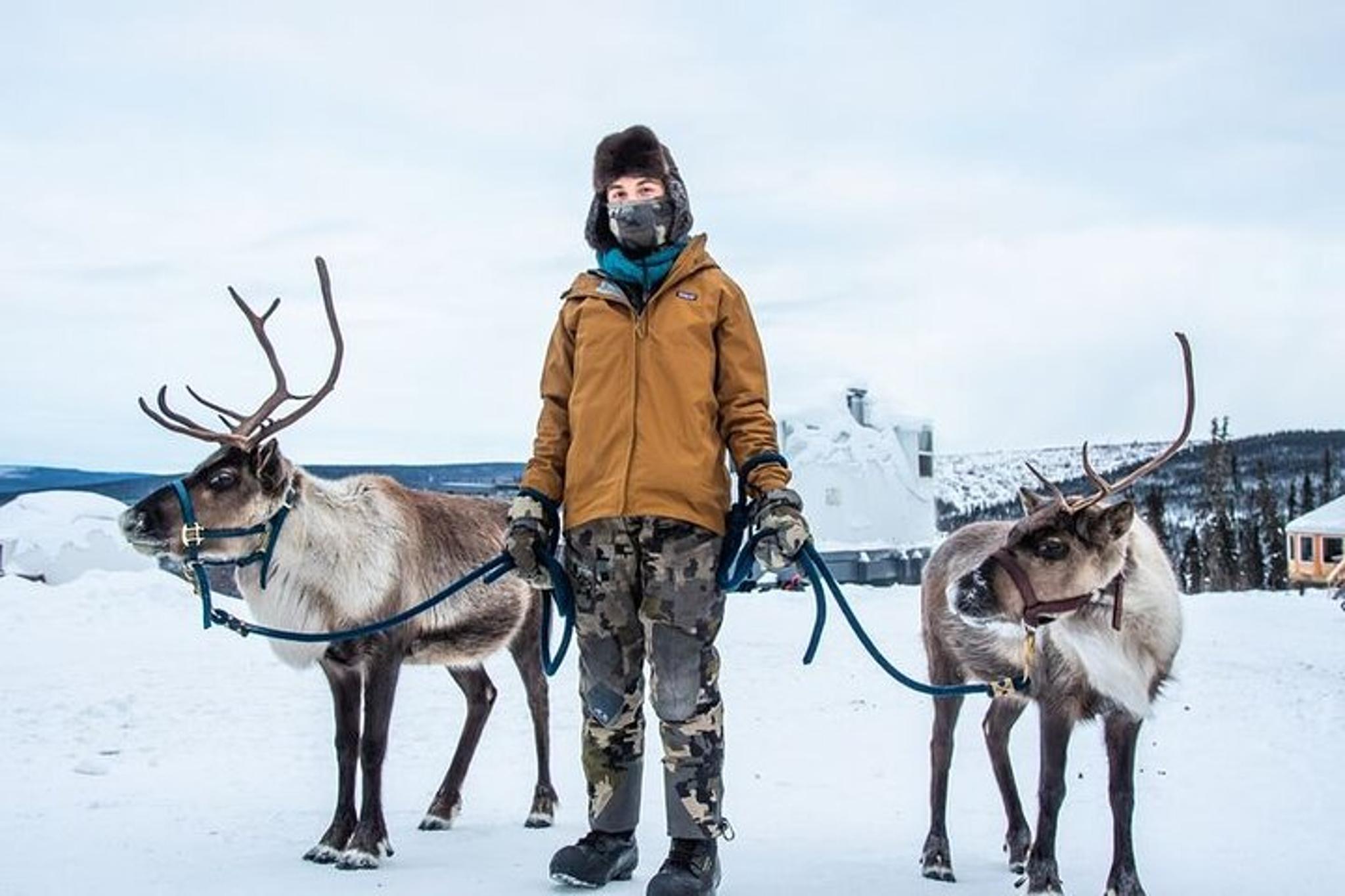 Fairbanks Reindeer Walking Experience 1 hr - Image 4