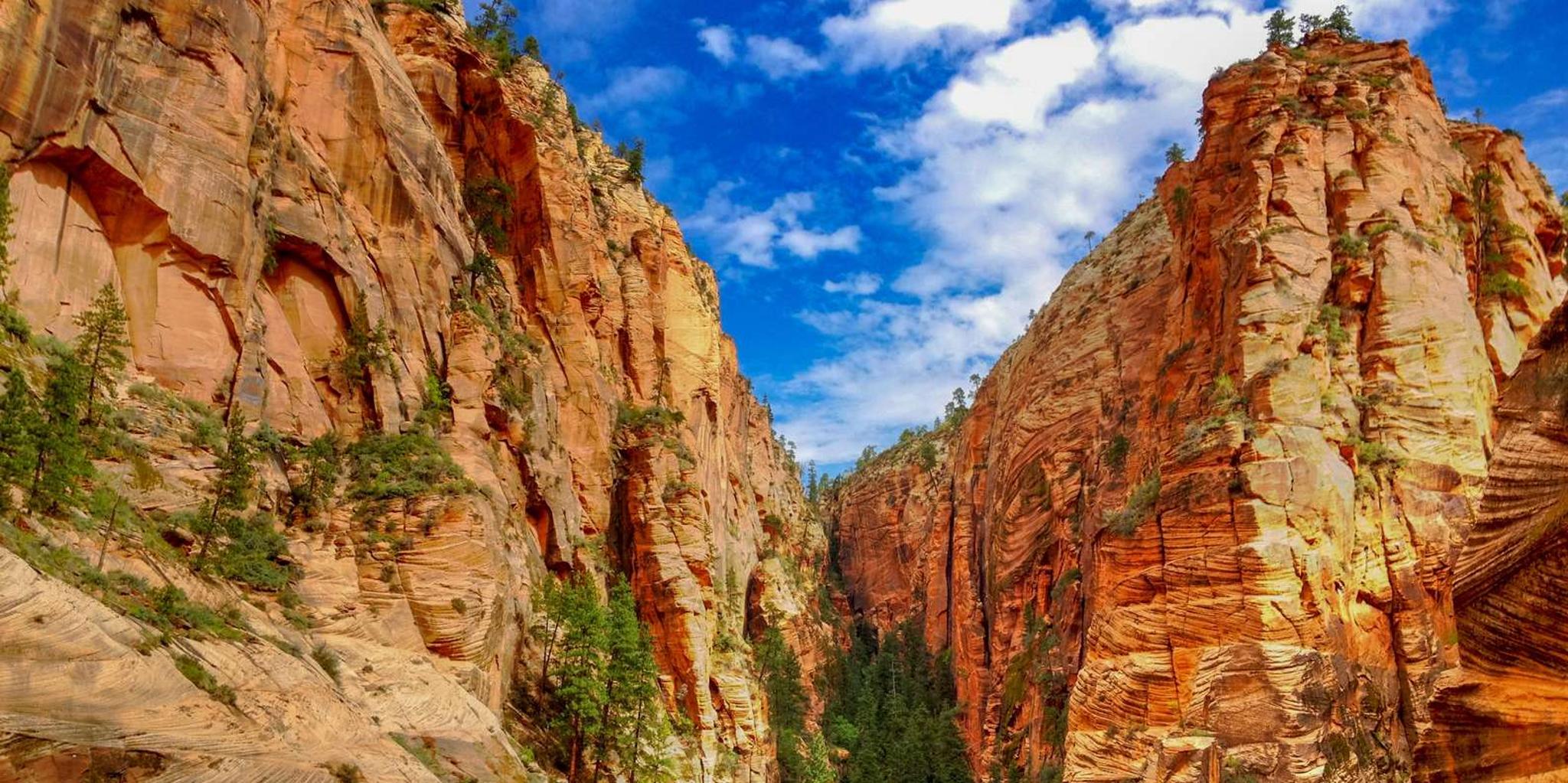 Las Vegas Zion and Grand Canyon 3-Day Tour - Image 5