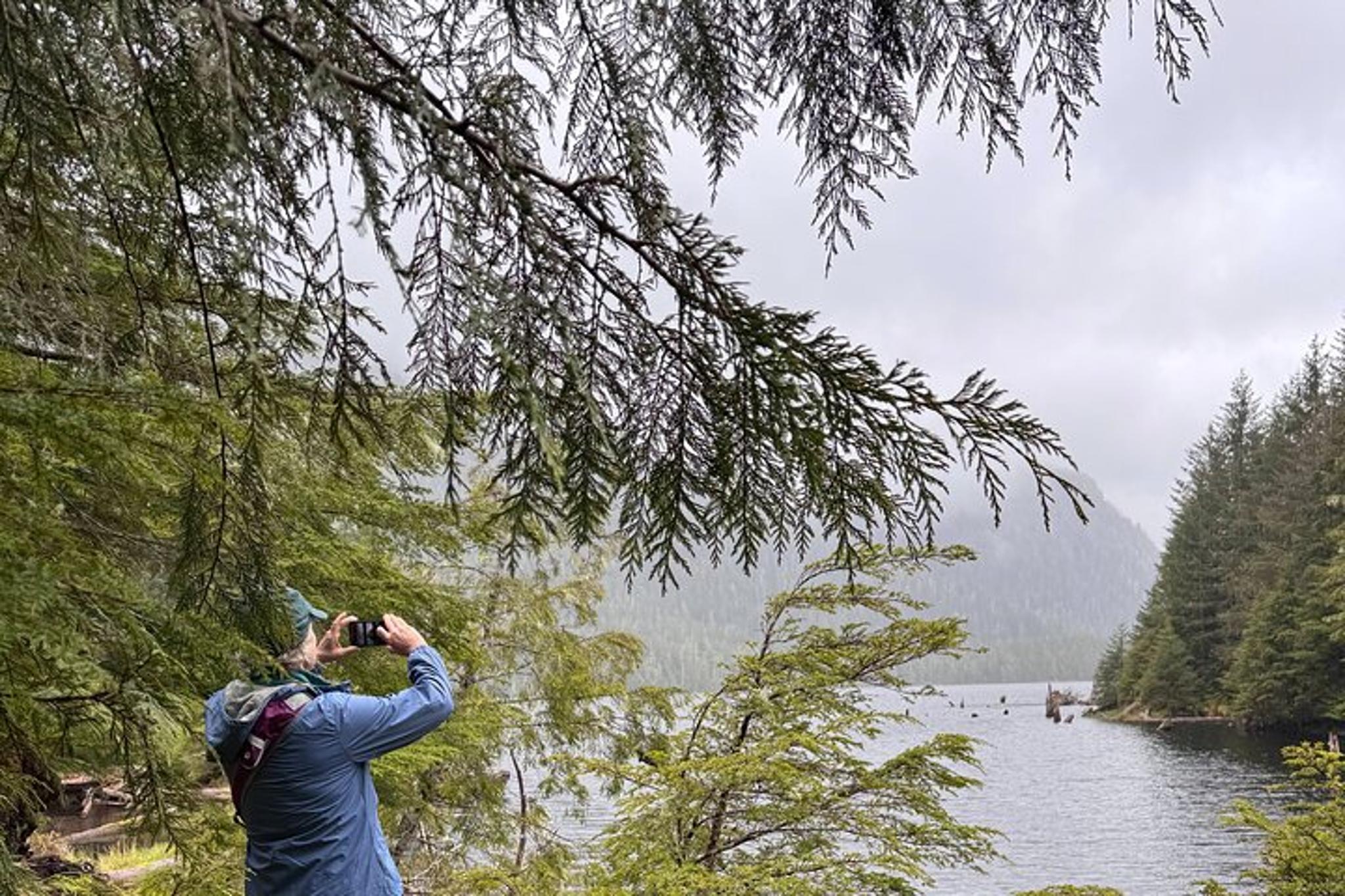 Ketchikan Rainforest Hike Connell Lake 3.5 hr - Image 4