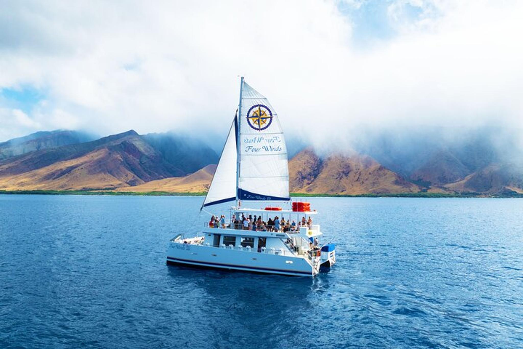 Maui Snorkel Tour to Coral Gardens 3.5 hr - Image 2