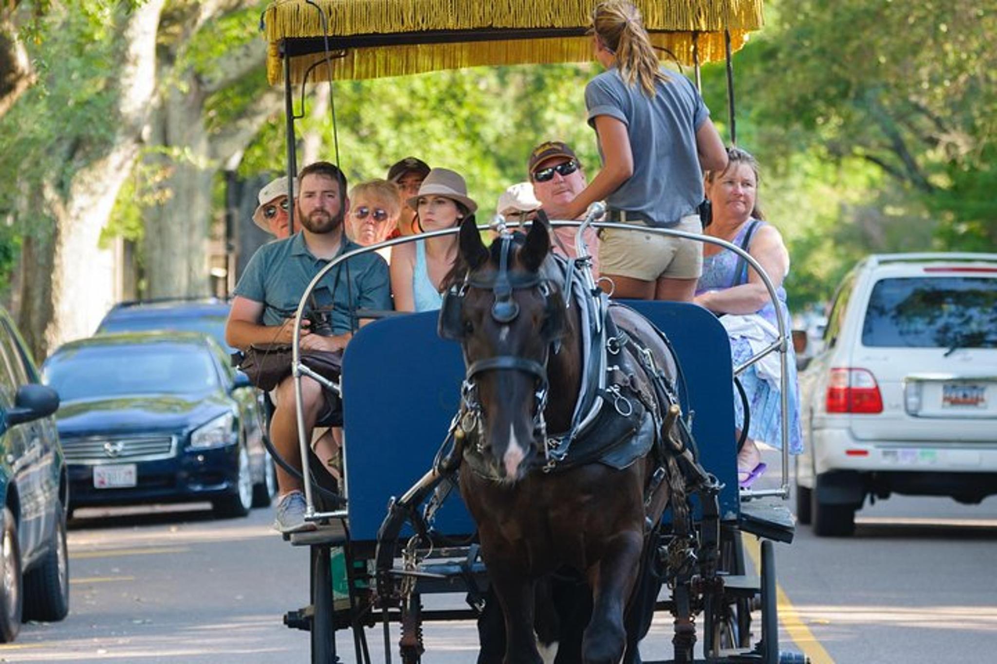 Charleston Horse & Carriage Historic Tour - Image 3
