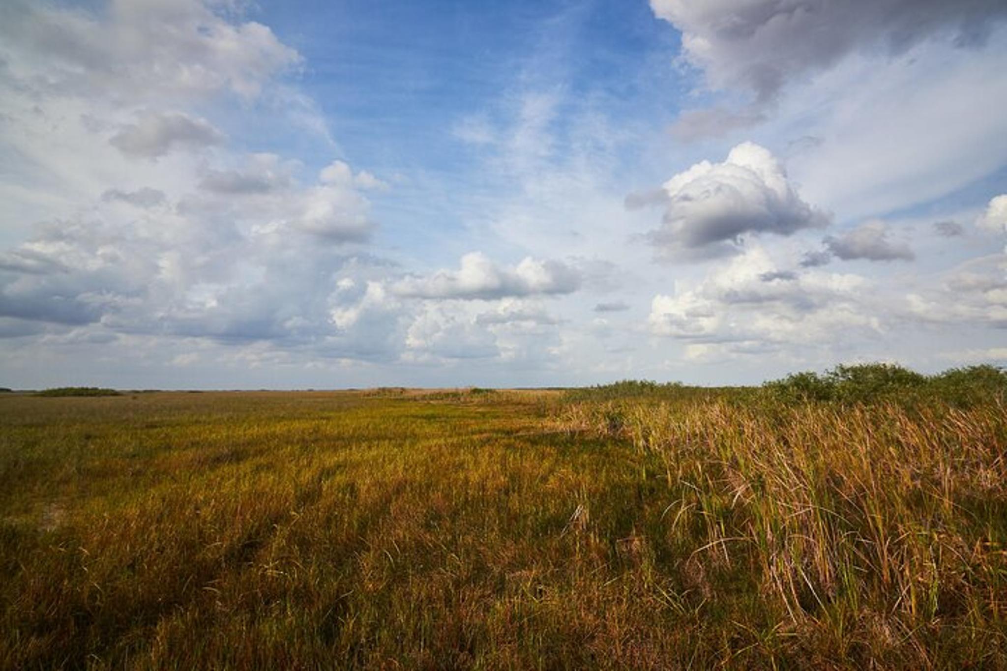 Everglades Boat Tour in Flamingo - Image 3