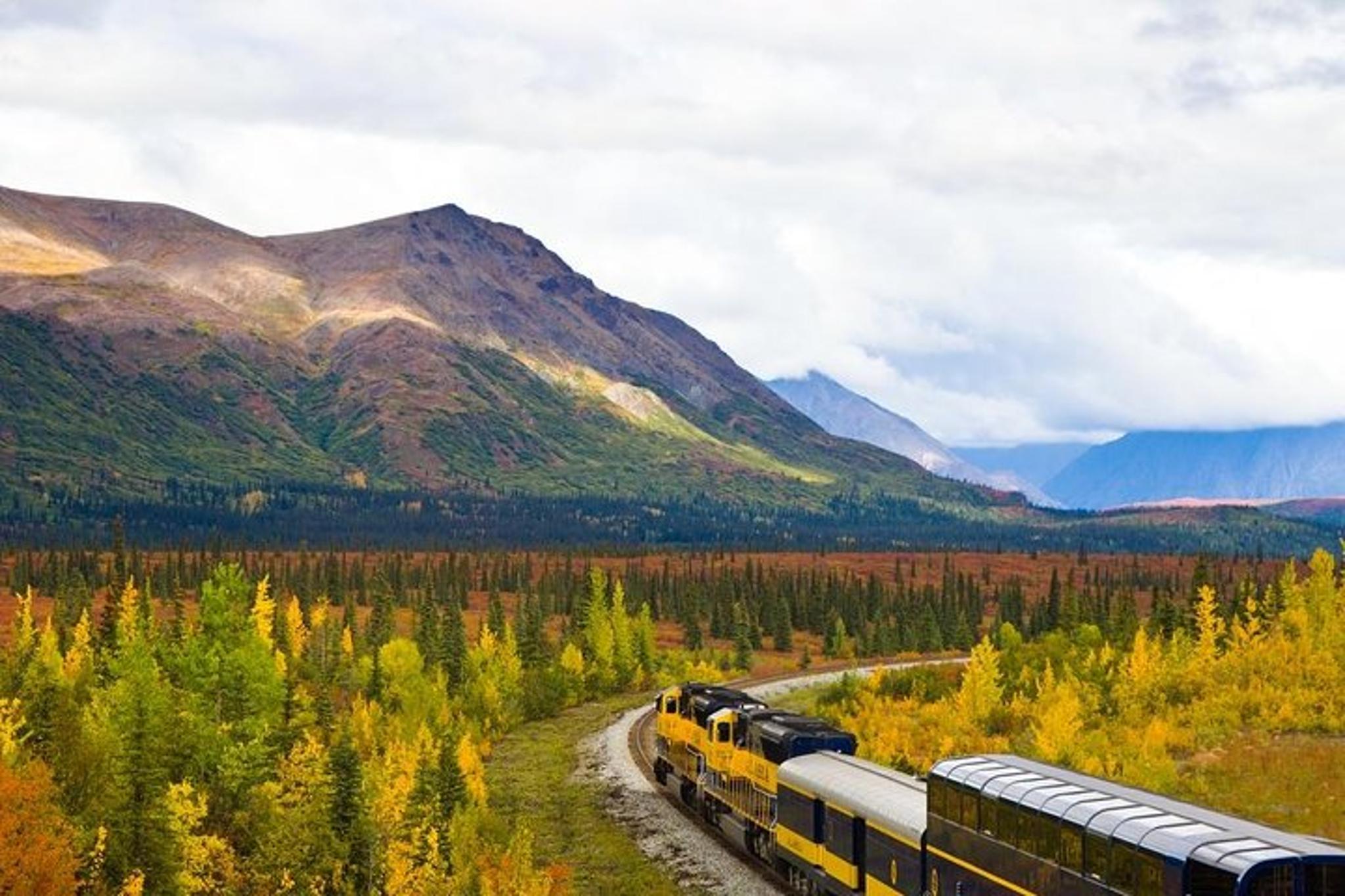 Anchorage to Denali Train Journey