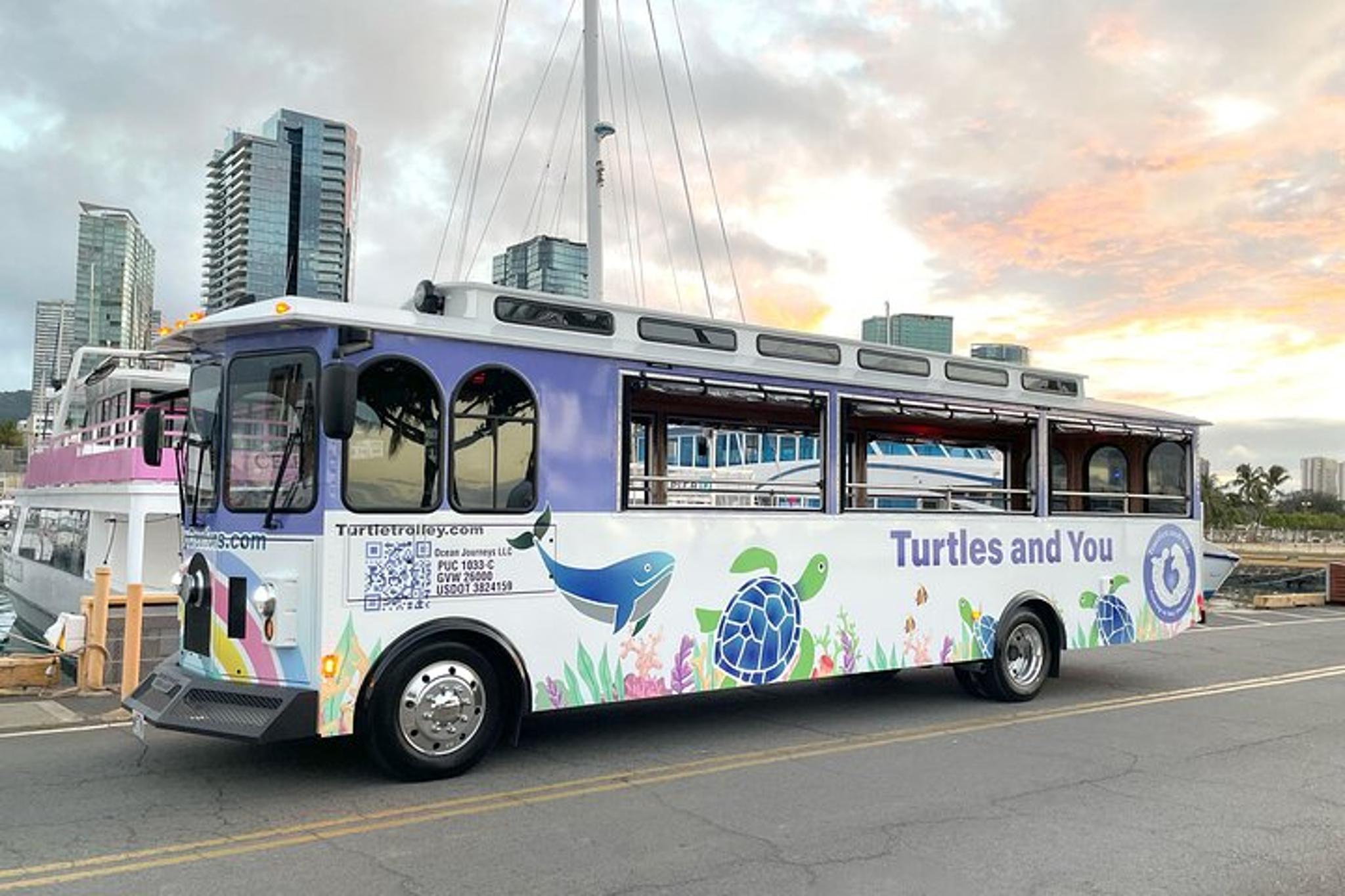 Waikiki Whale Watching Cruise with Snack - Image 6
