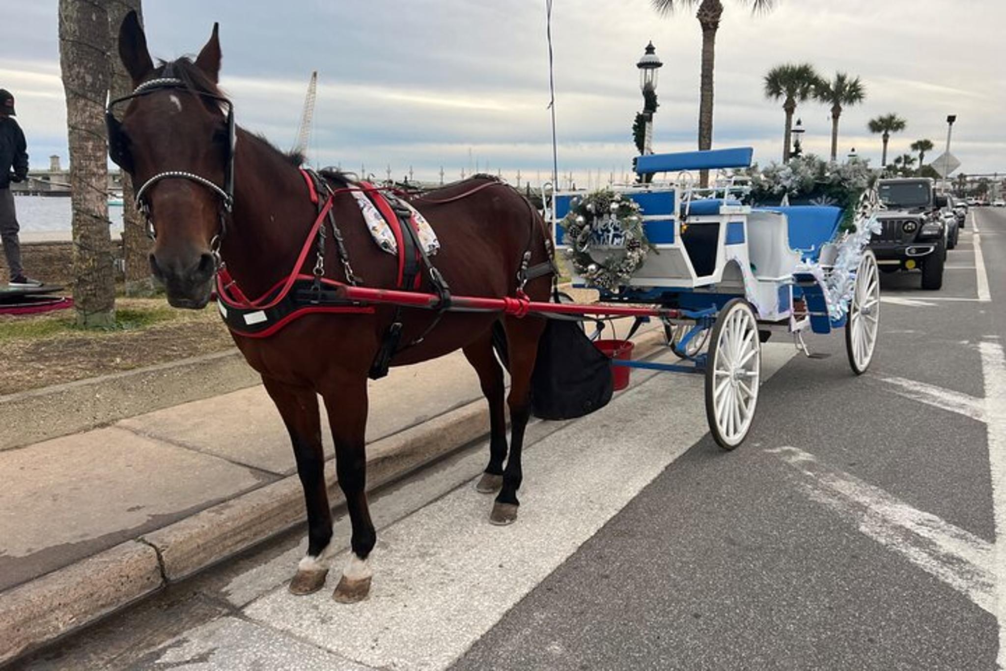 Saint Augustine Horse-Drawn Carriage Tour - Image 2