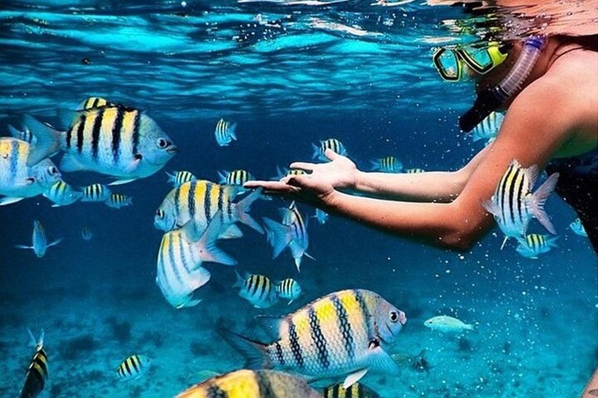 Key Largo Snorkeling and Sandbar Tour - Image 2