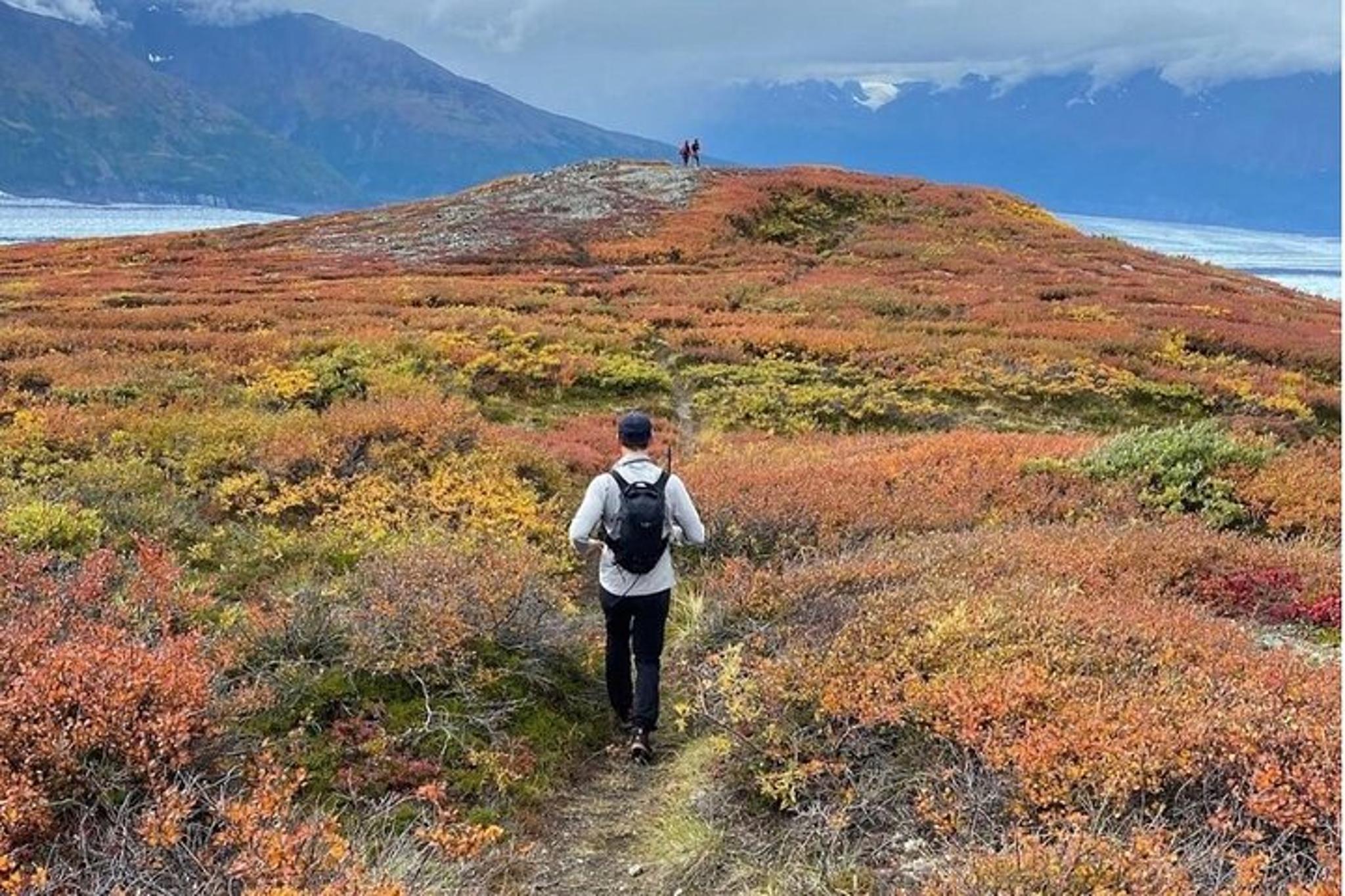 Seward Heli Hiking Adventure 4 hr - Image 3