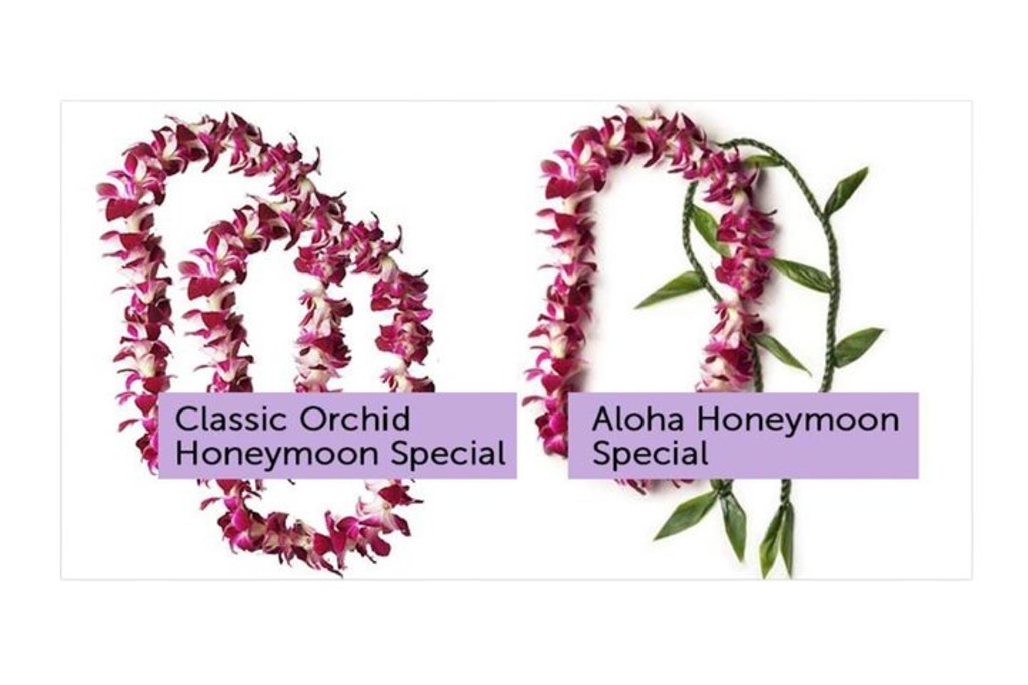 Honolulu Airport Lei Greeting - Image 3