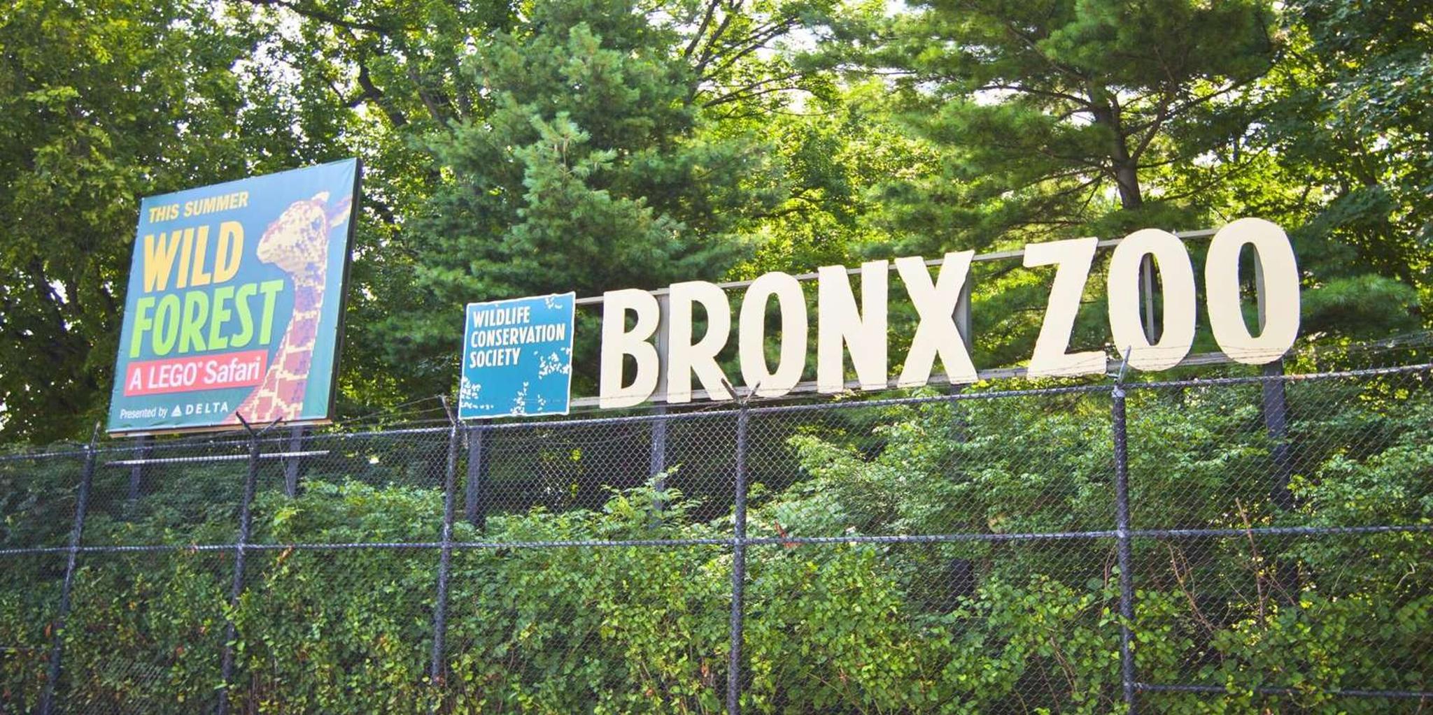 New York Bronx Zoo Tour with Private Transfers - Image 3