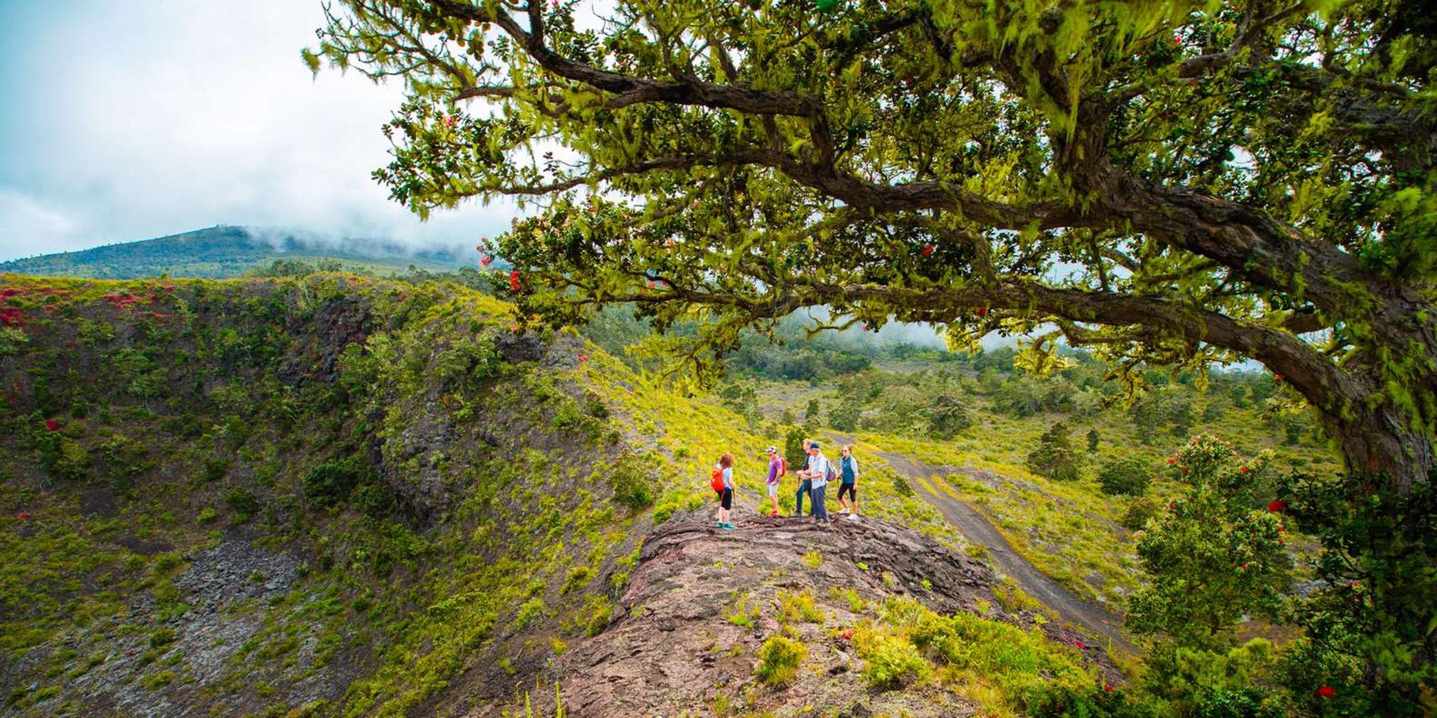 Kona Volcano Crater Hike - Image 4